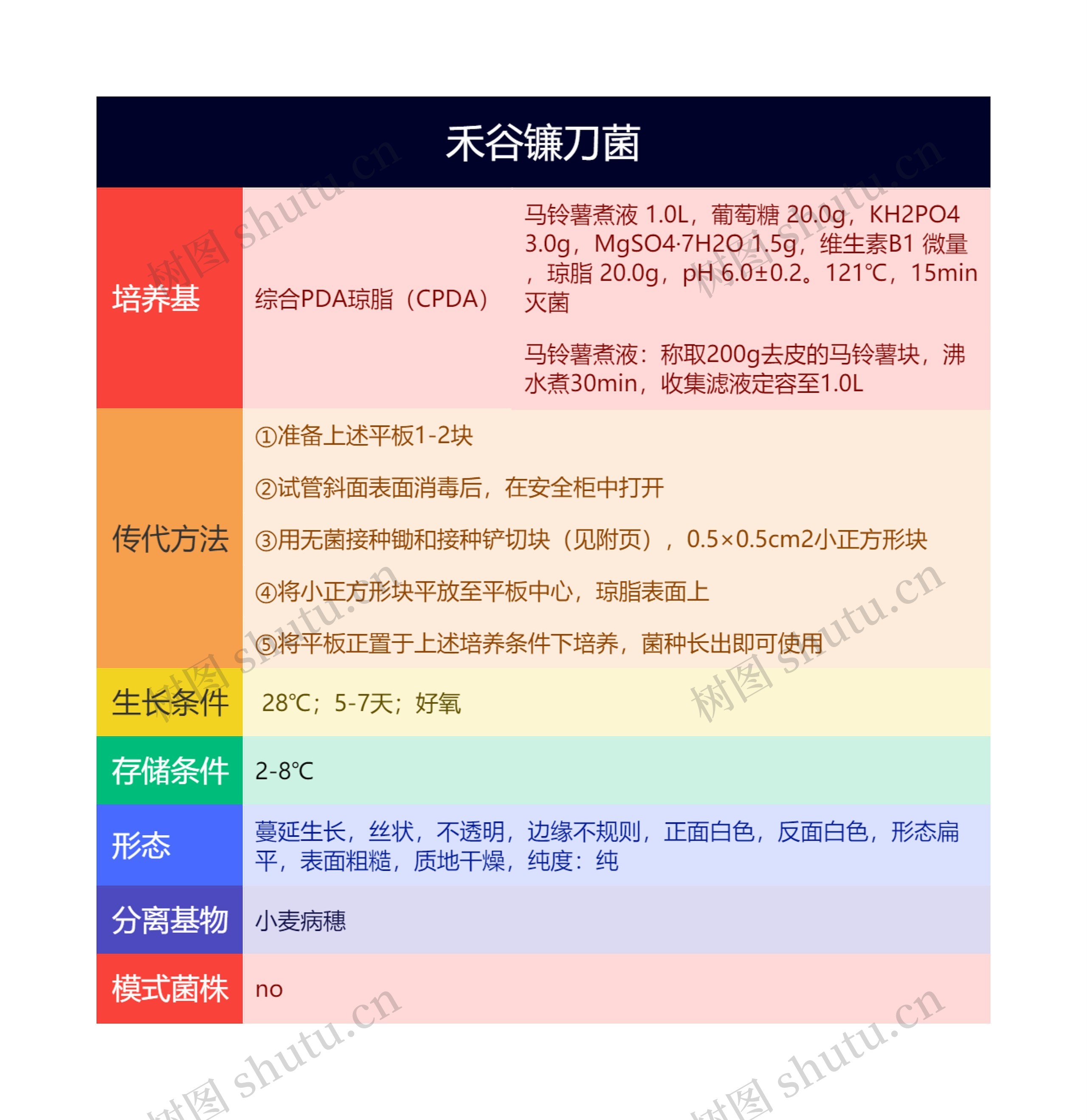 禾谷镰刀菌