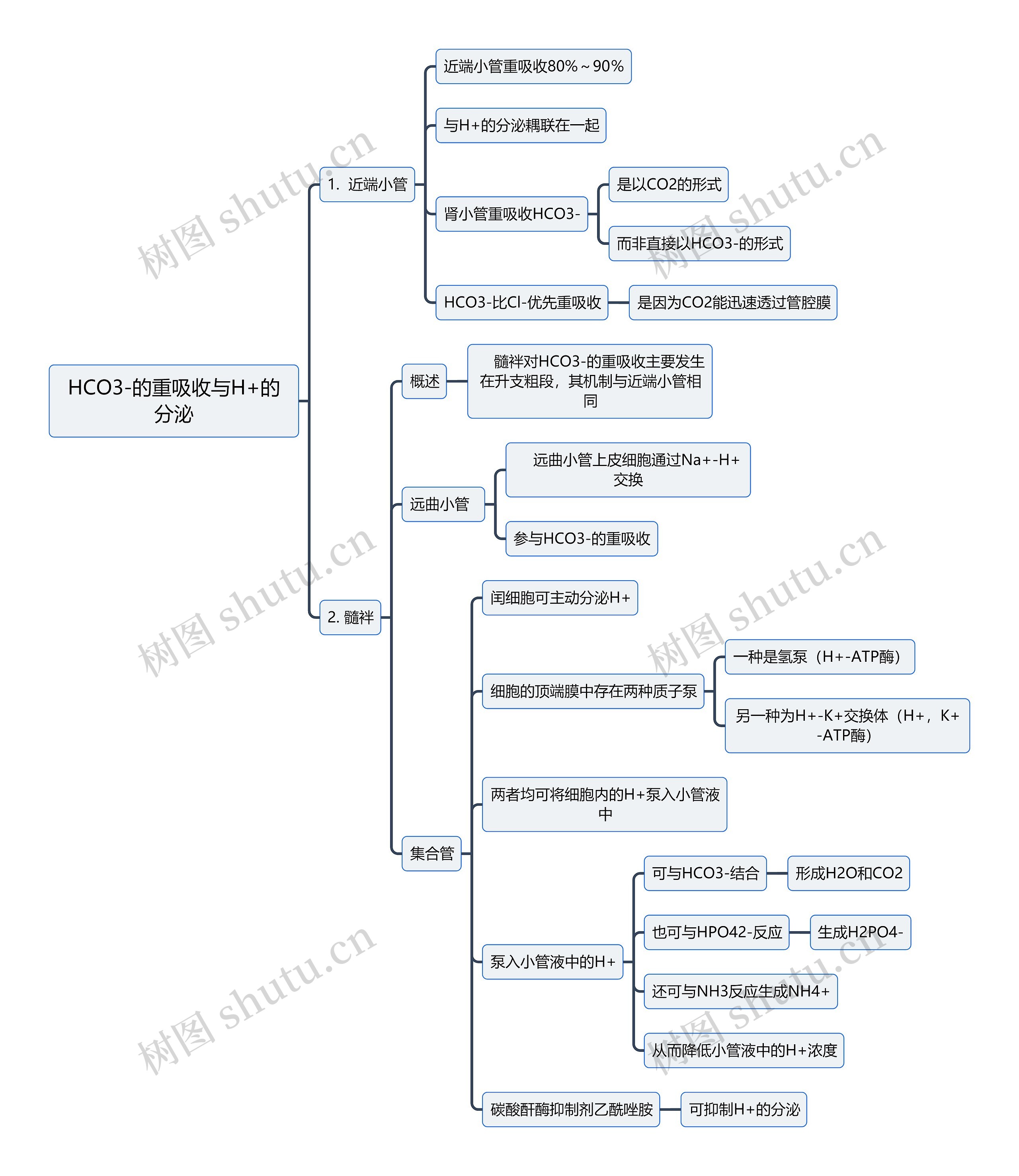 医学知识HCO3-的重吸收与H+的分泌思维导图