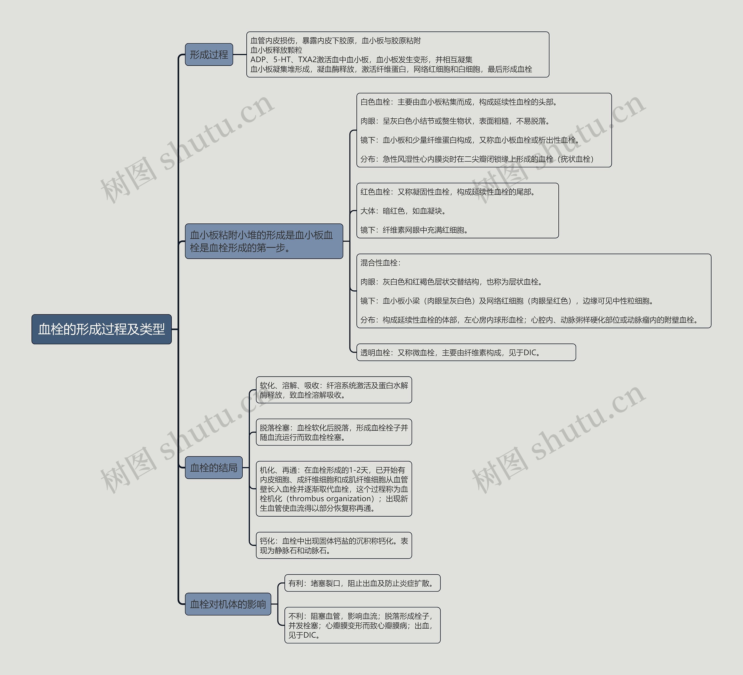 血栓的形成过程及类型的思维导图