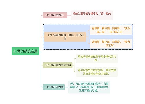 中医知识肾的系统连属思维导图