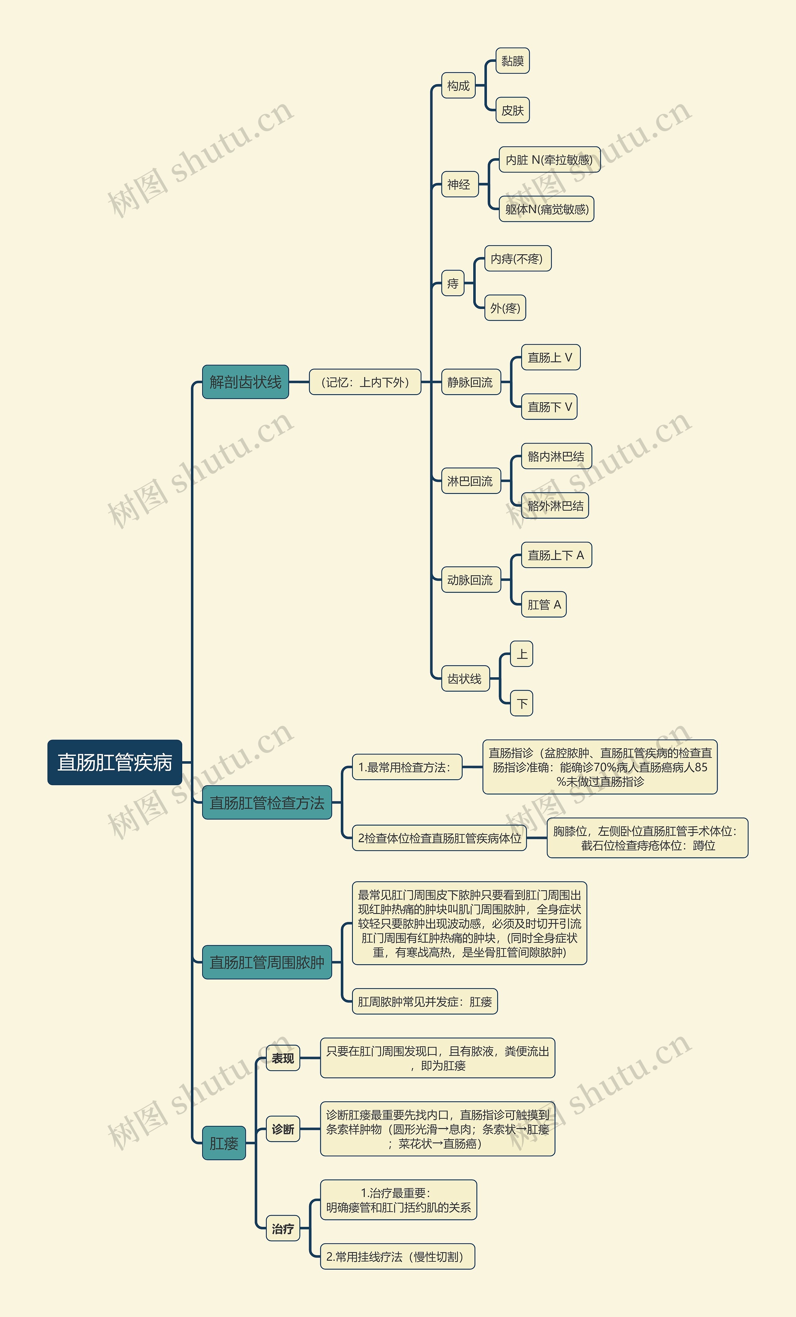 医学知识直肠肛管疾病思维导图
