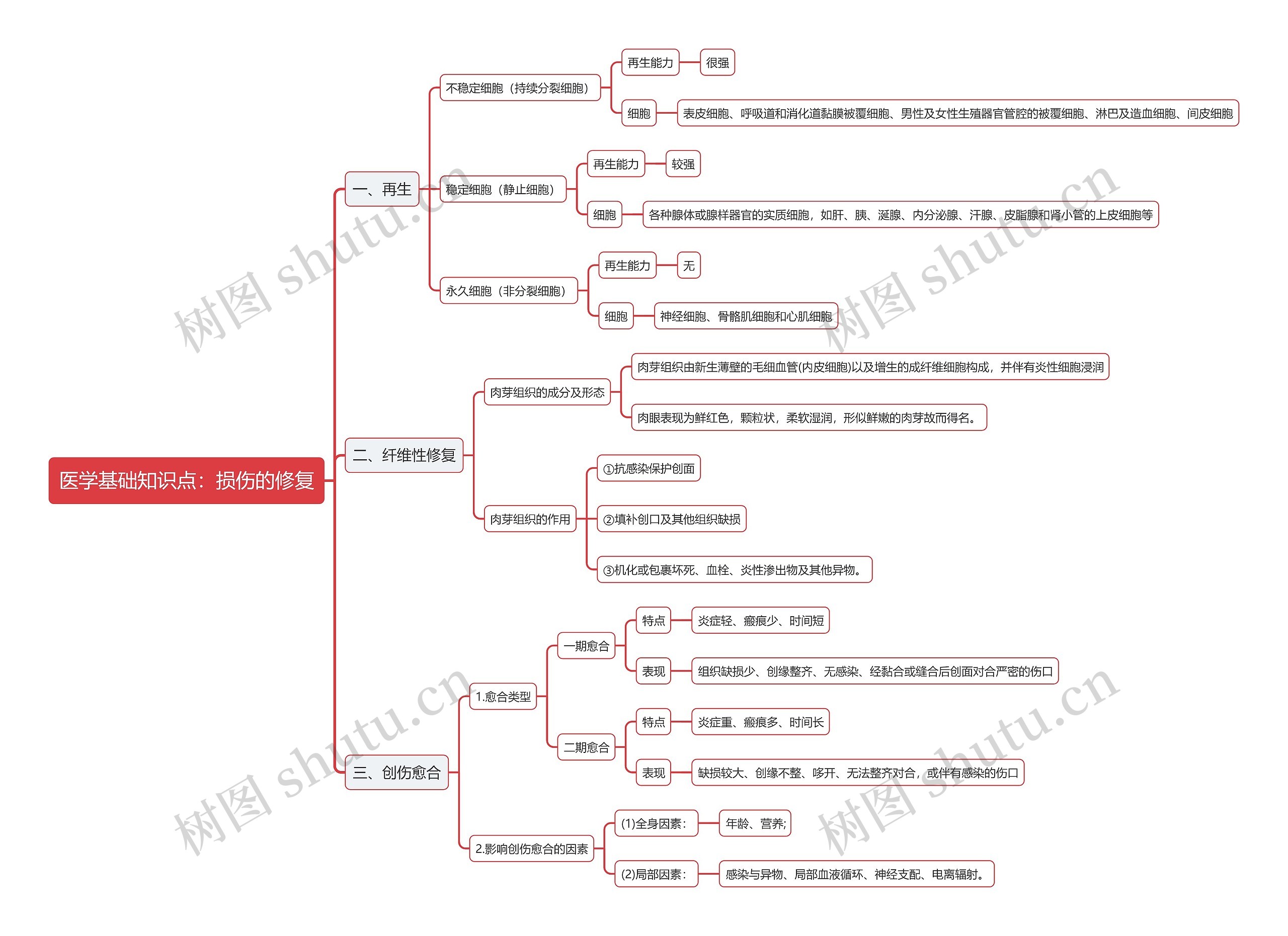 医学基础知识点：损伤的修复思维导图