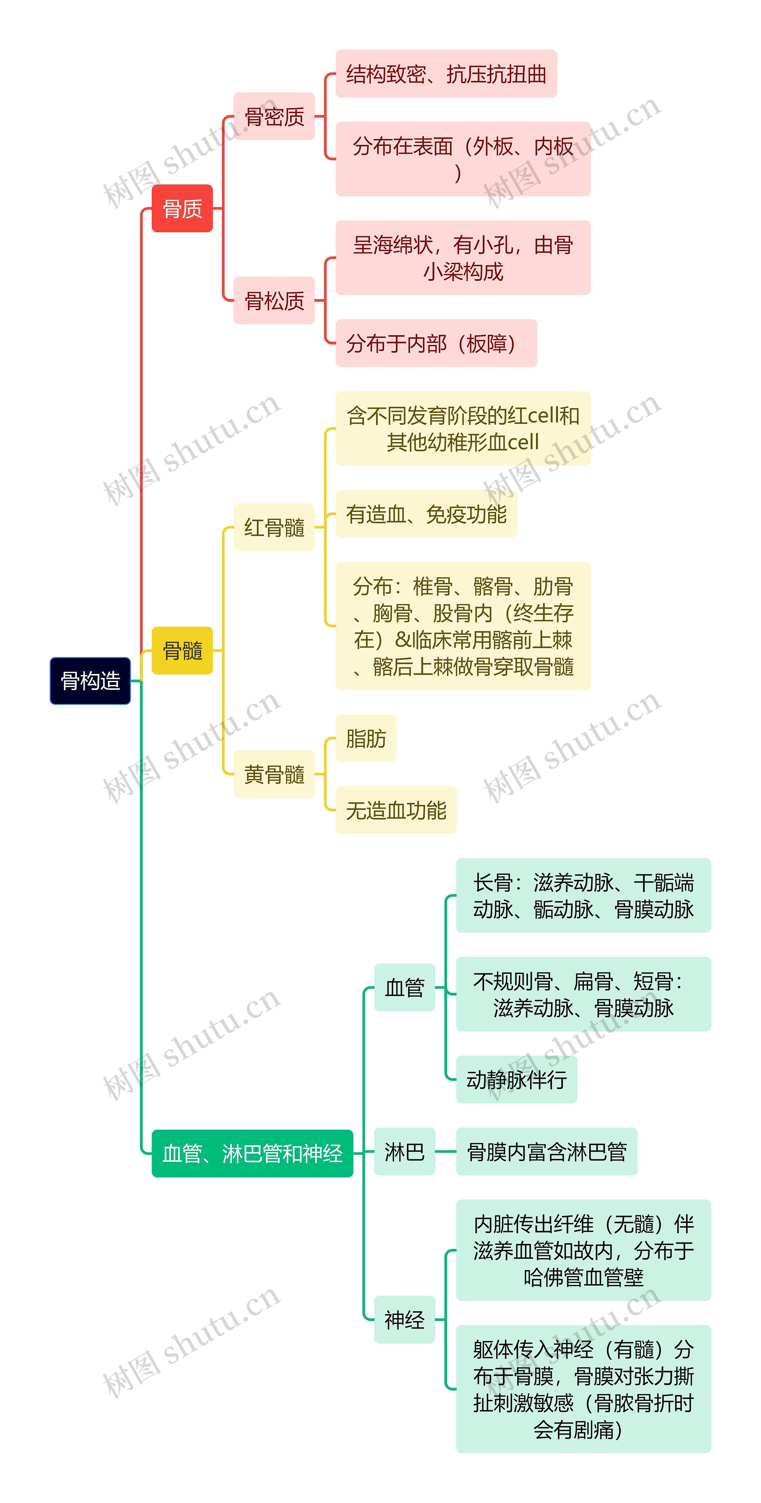 解剖学知识骨构造思维导图