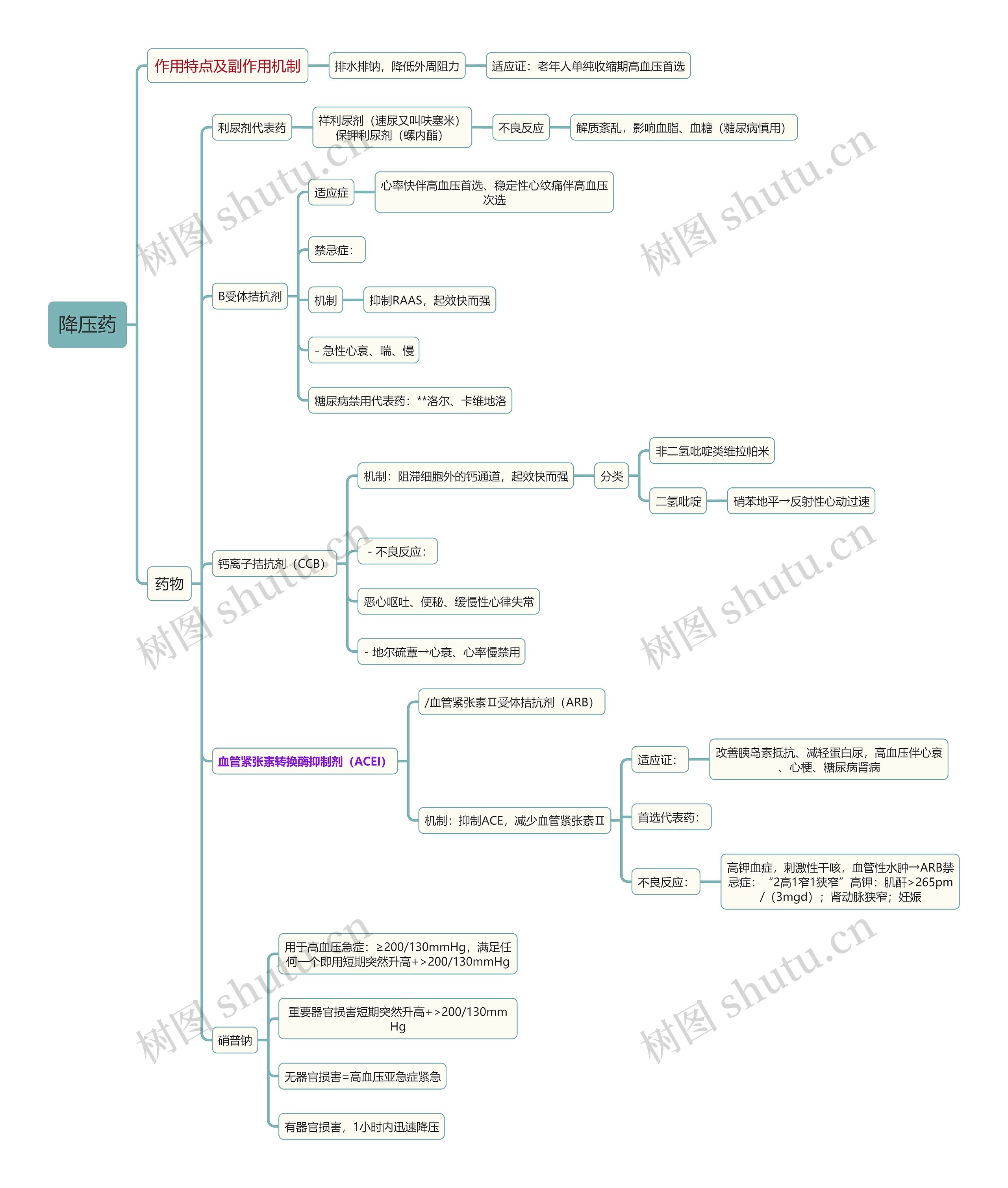 内科学知识降压药思维导图