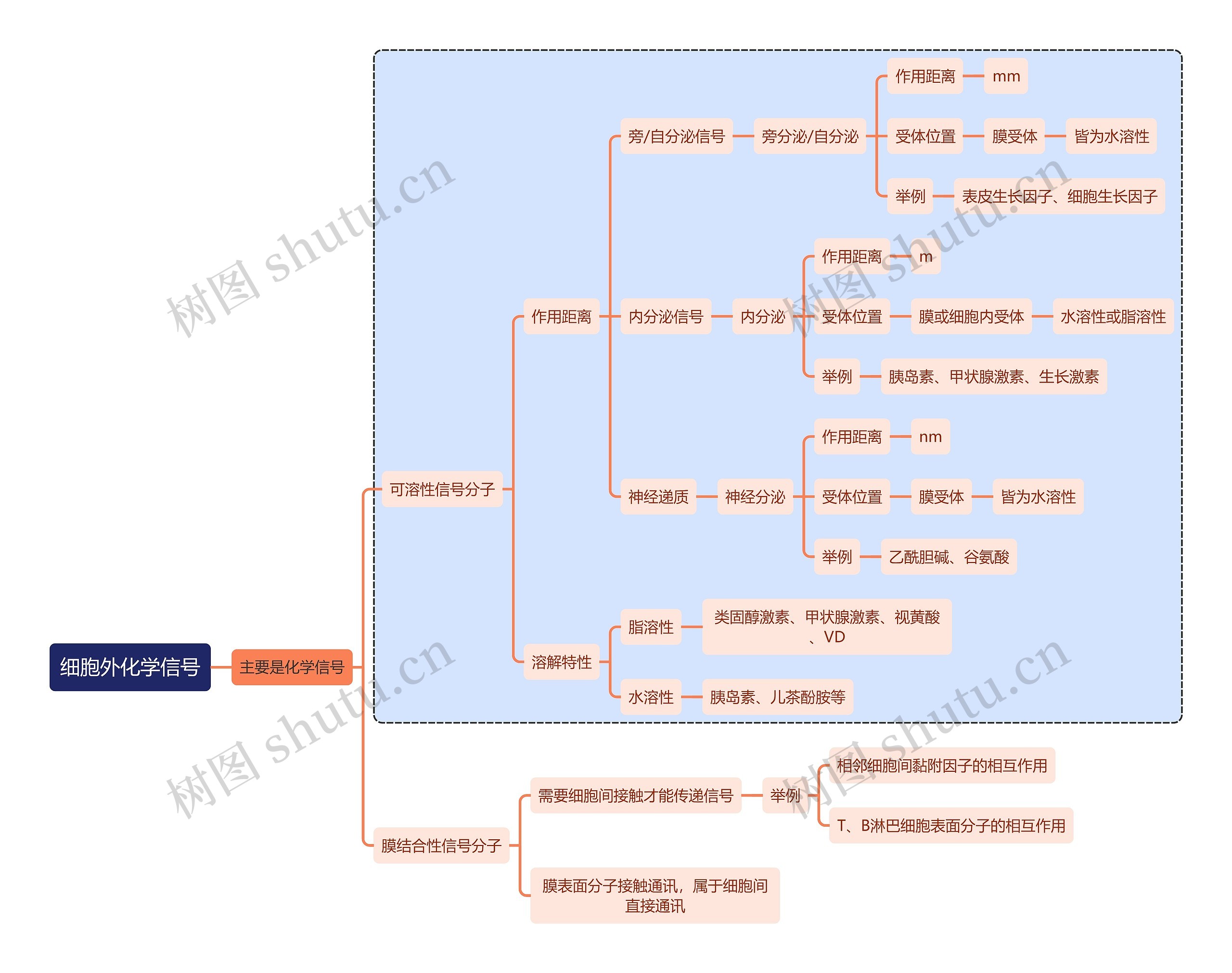 医学知识细胞外化学信号思维导图