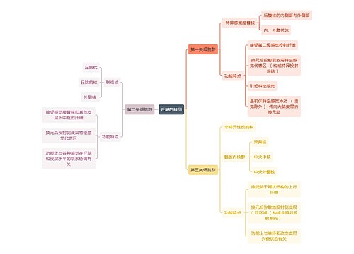 医学知识丘脑的核团思维导图