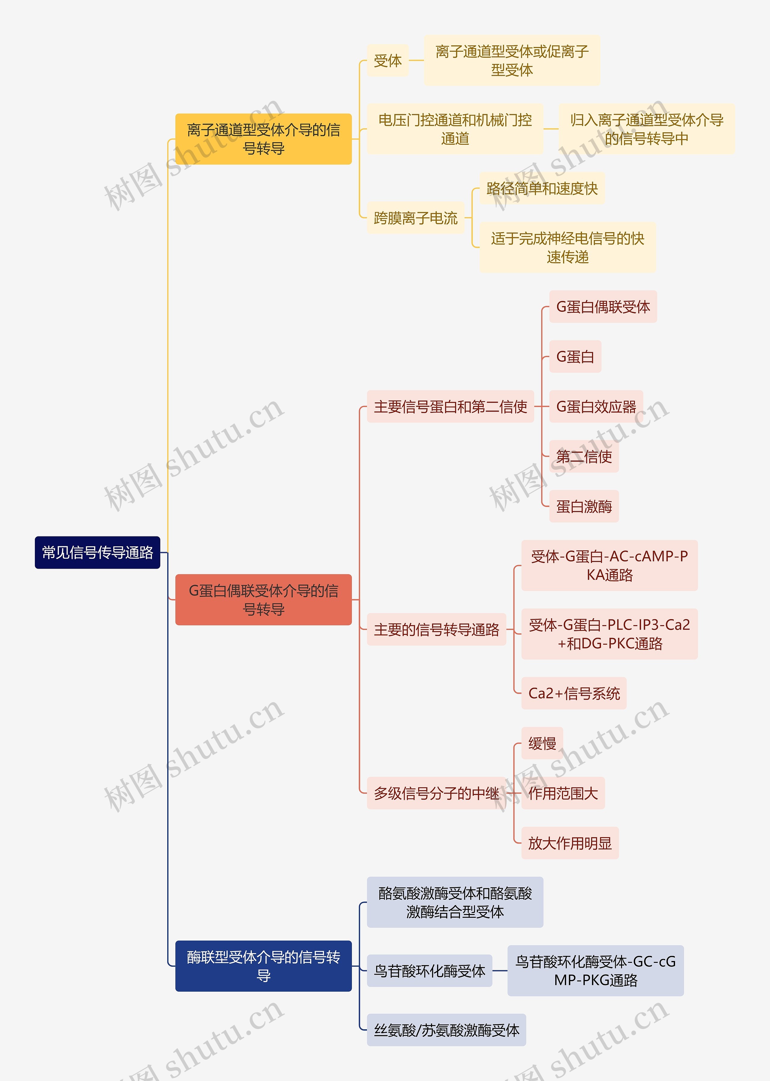 医学知识常见信号传导通路思维导图