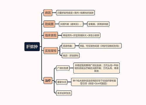 医学知识肝脓肿思维导图