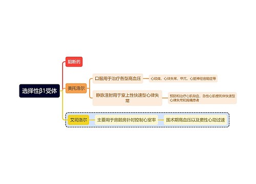 医学选择性β1受体思维导图