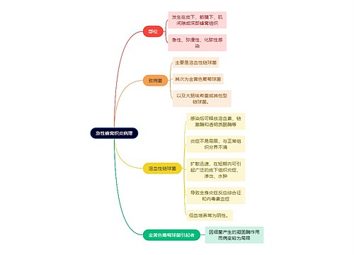 医学知识急性蜂窝织炎病理思维导图