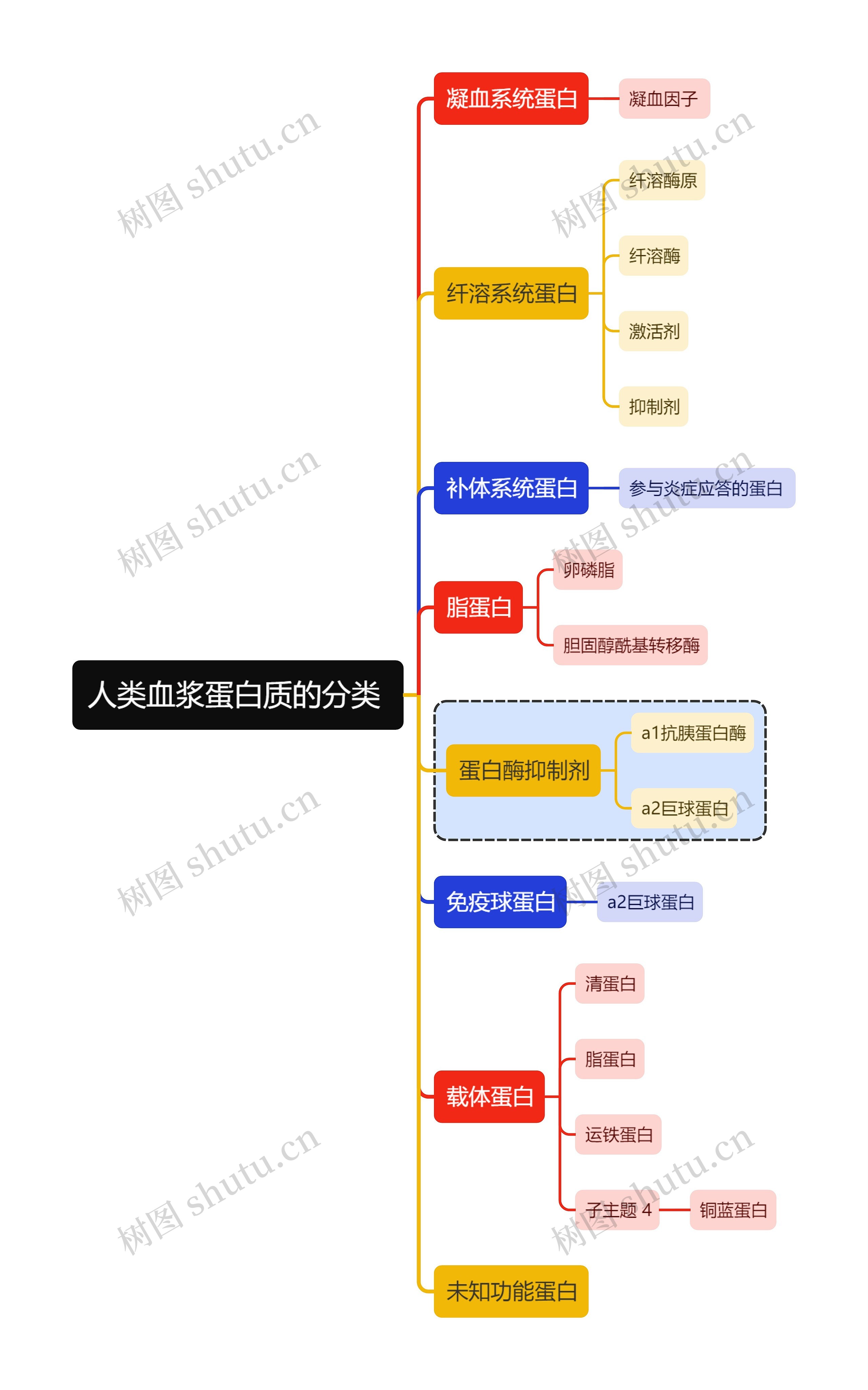医学知识人类血浆蛋白质的分类思维导图高清图 医学知识人类血浆蛋白质的分类思维导图