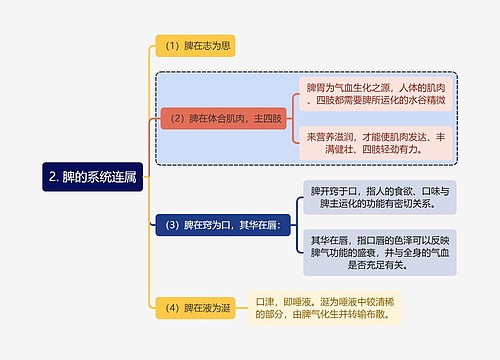 中医知识脾的系统连属思维导图