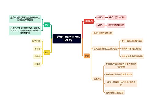 医学知识主要组织相容性复合体（MHC)思维导图