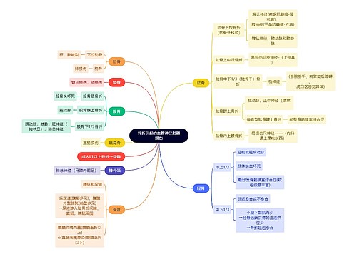 骨学知识骨折引起的血管神经脏器损伤思维导图