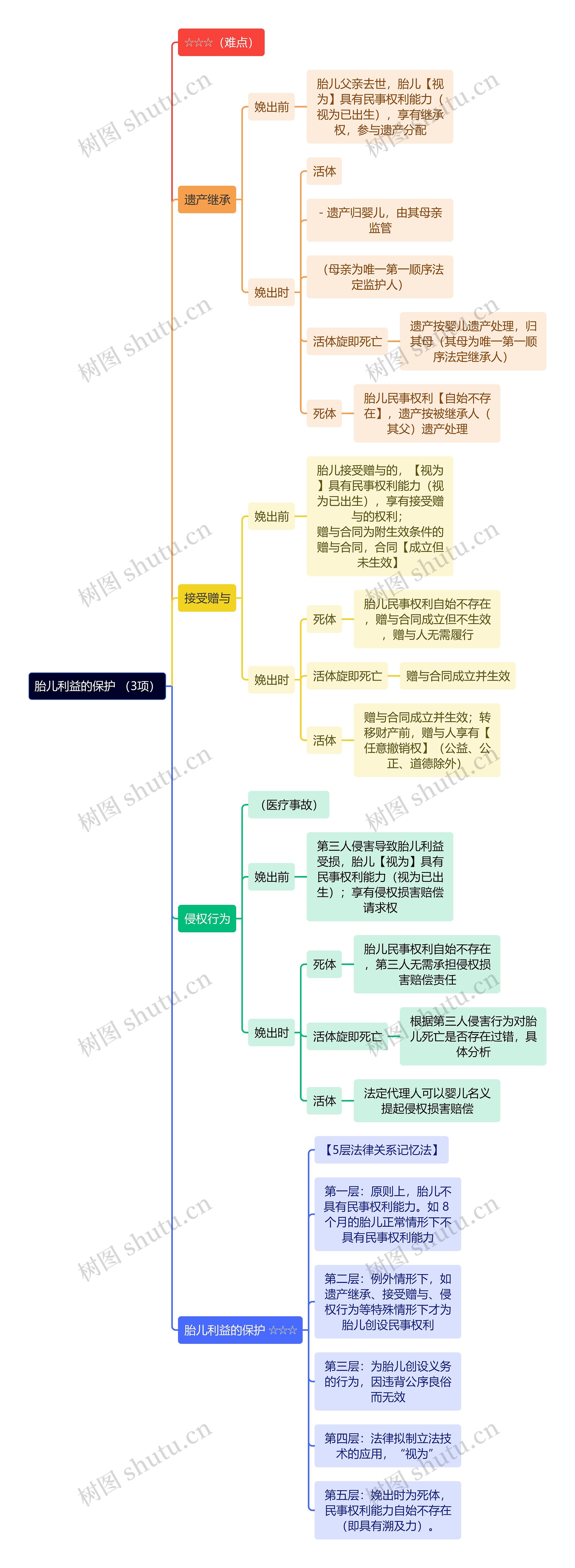 法学知识胎儿利益的保护 思维导图