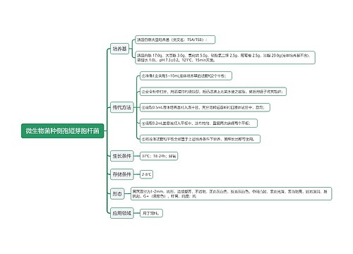 微生物菌种侧孢短芽胞杆菌思维导图