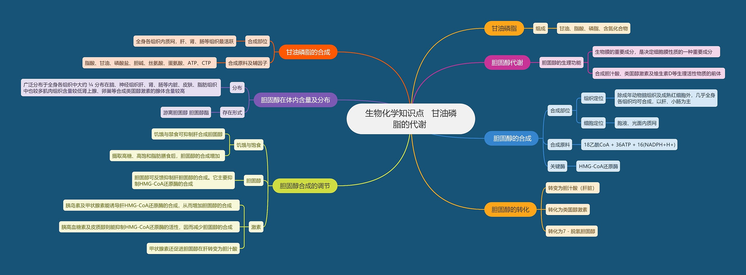 生物化学知识点   甘油磷脂的代谢 思维导图