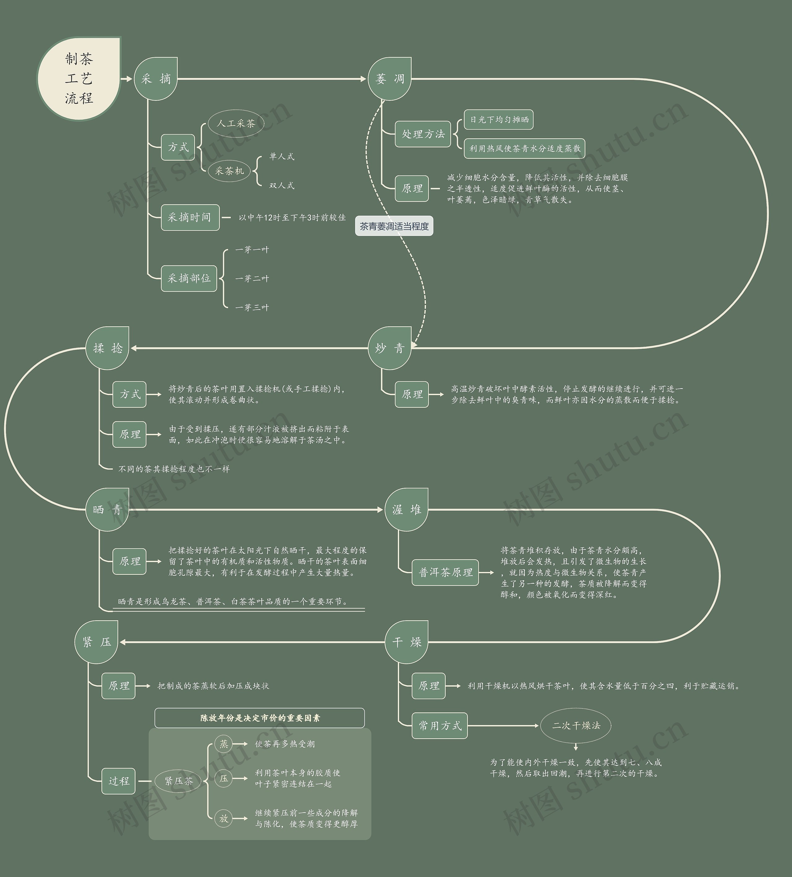 制茶工艺流程思维导图
