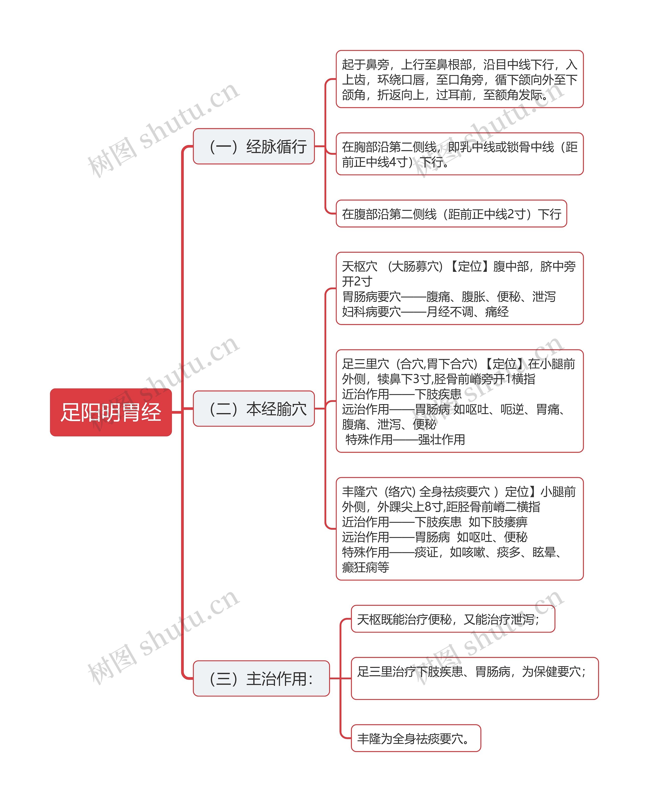 足阳明胃经思维导图