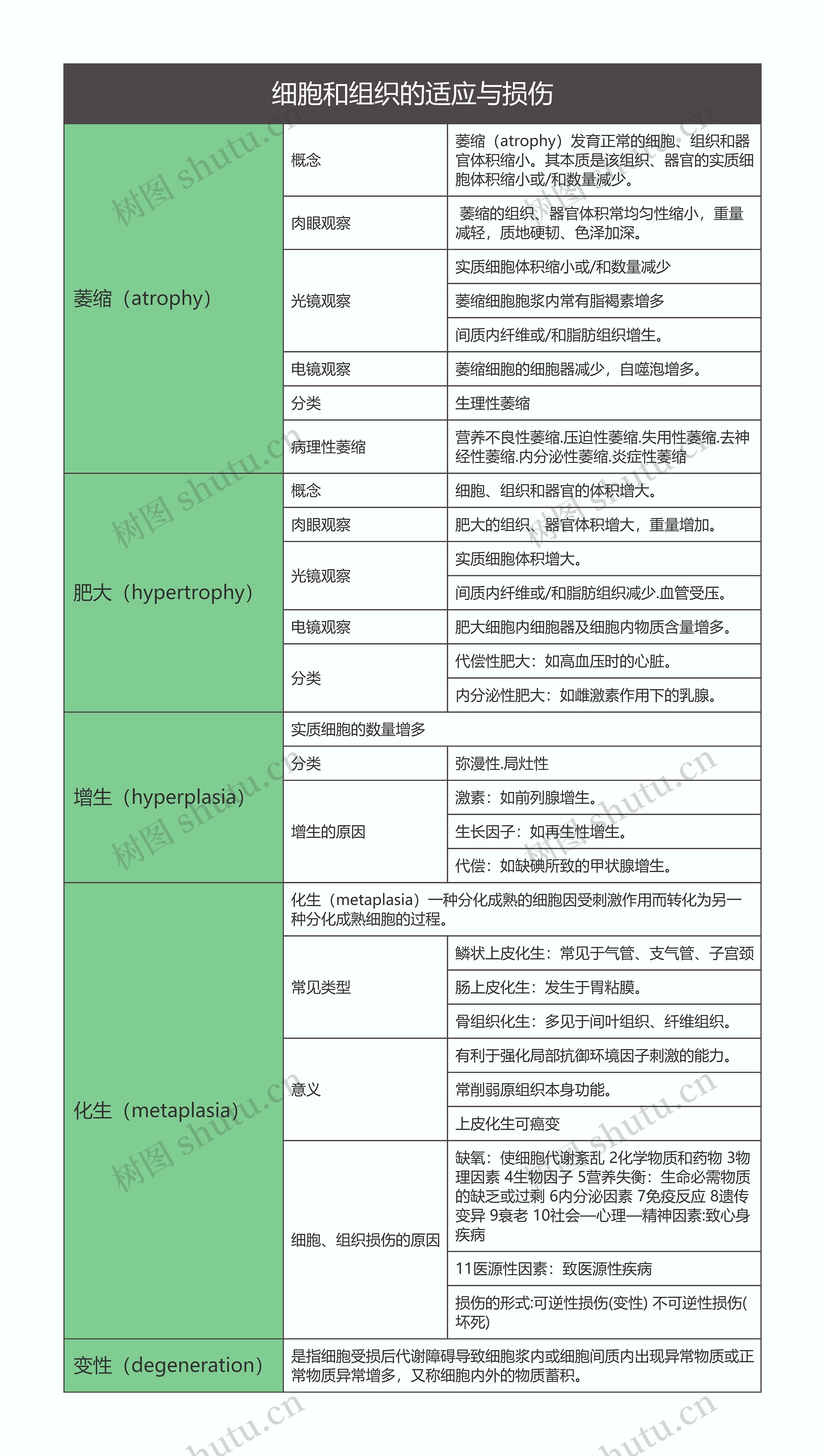 病理学  细胞和组织的适应与损伤思维导图