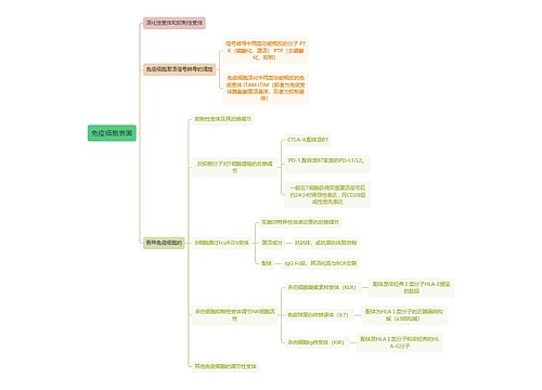 医学知识免疫细胞表面思维导图