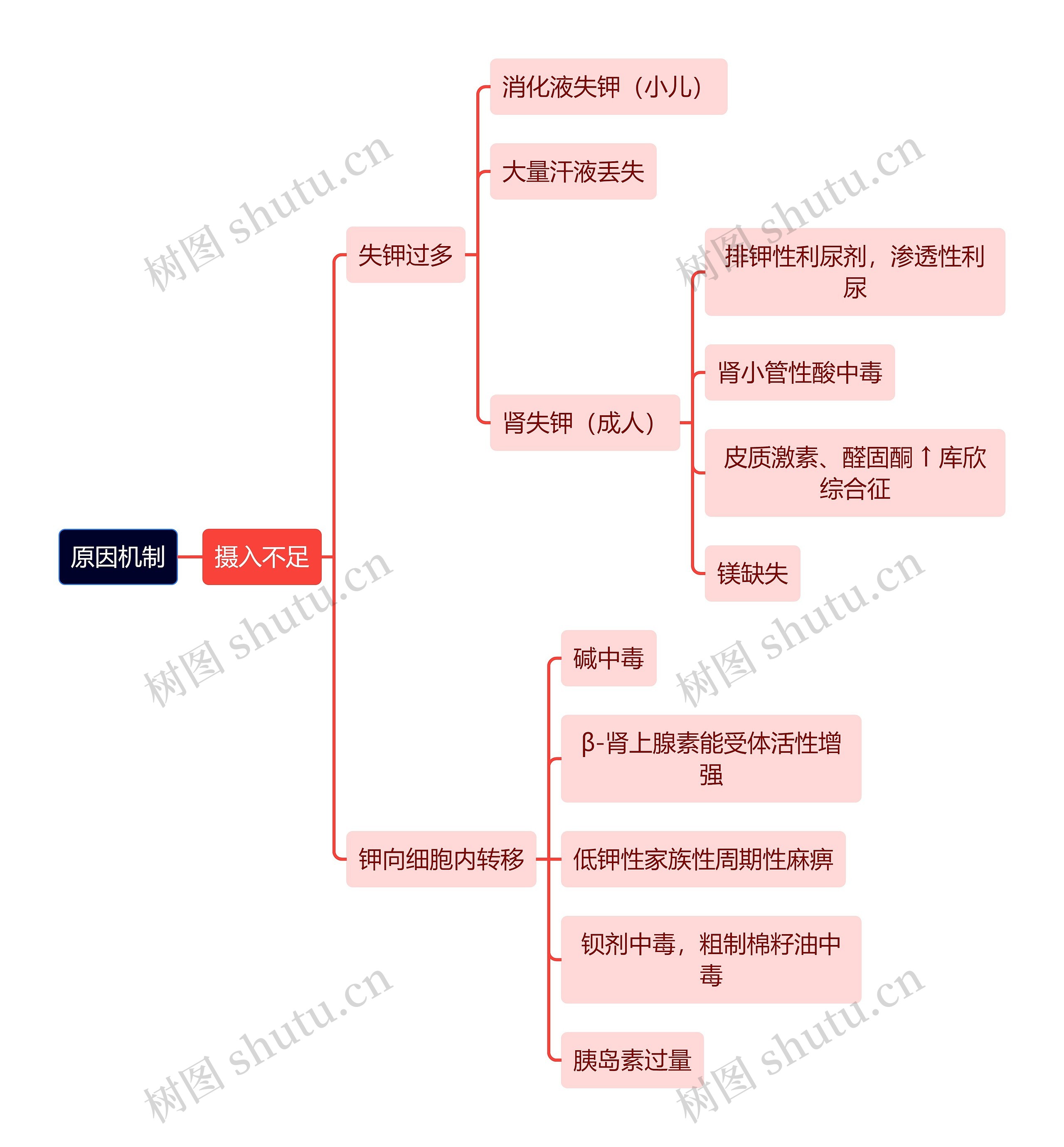 医学知识低钾血症原因机制思维导图