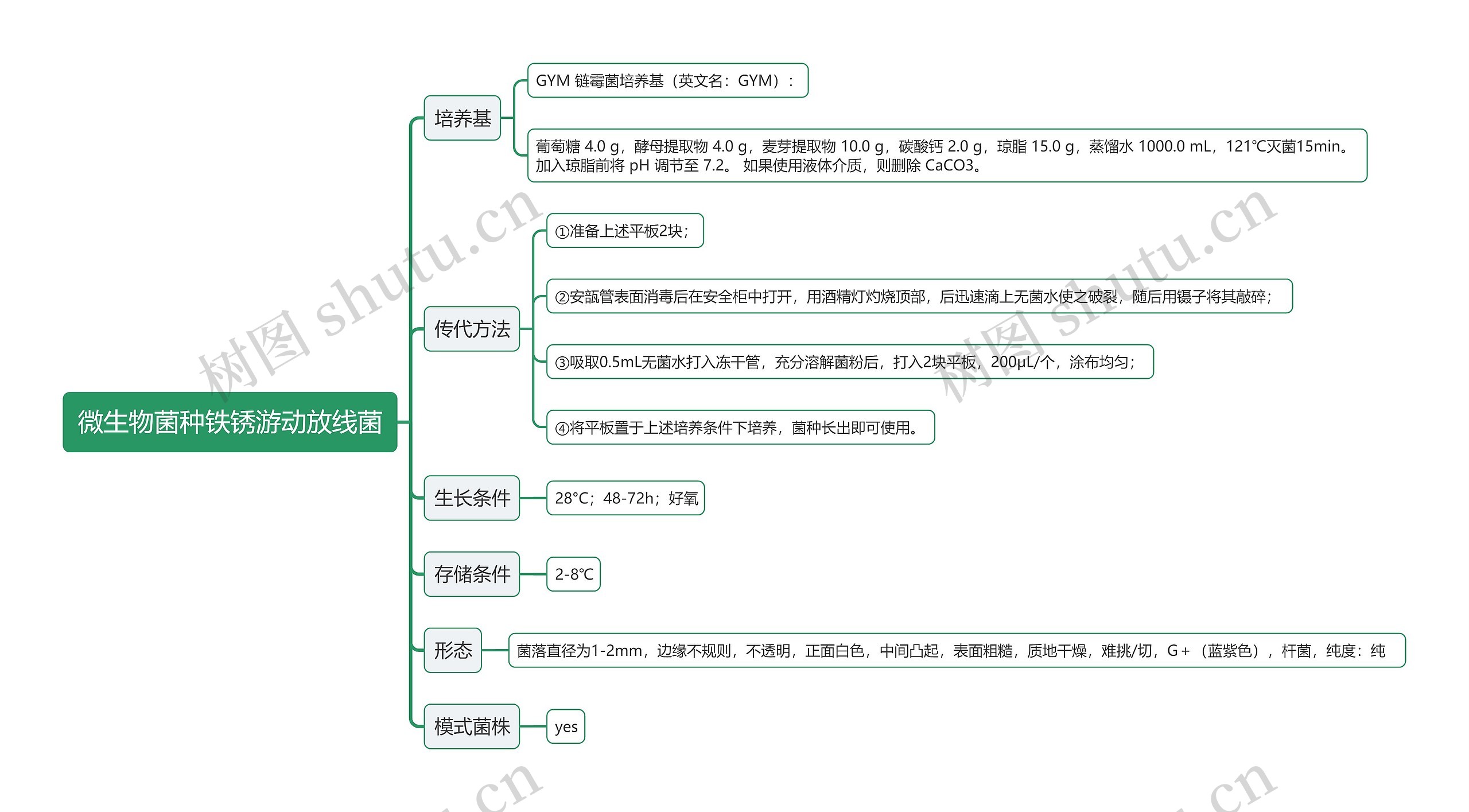 微生物菌种铁锈游动放线菌思维导图