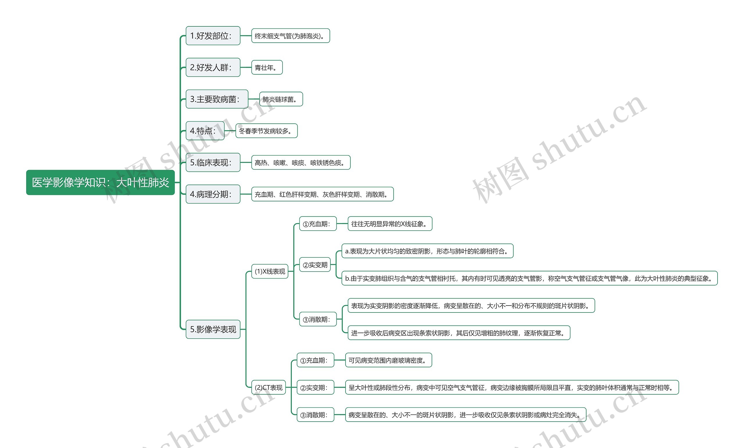 医学影像学知识：大叶性肺炎思维导图