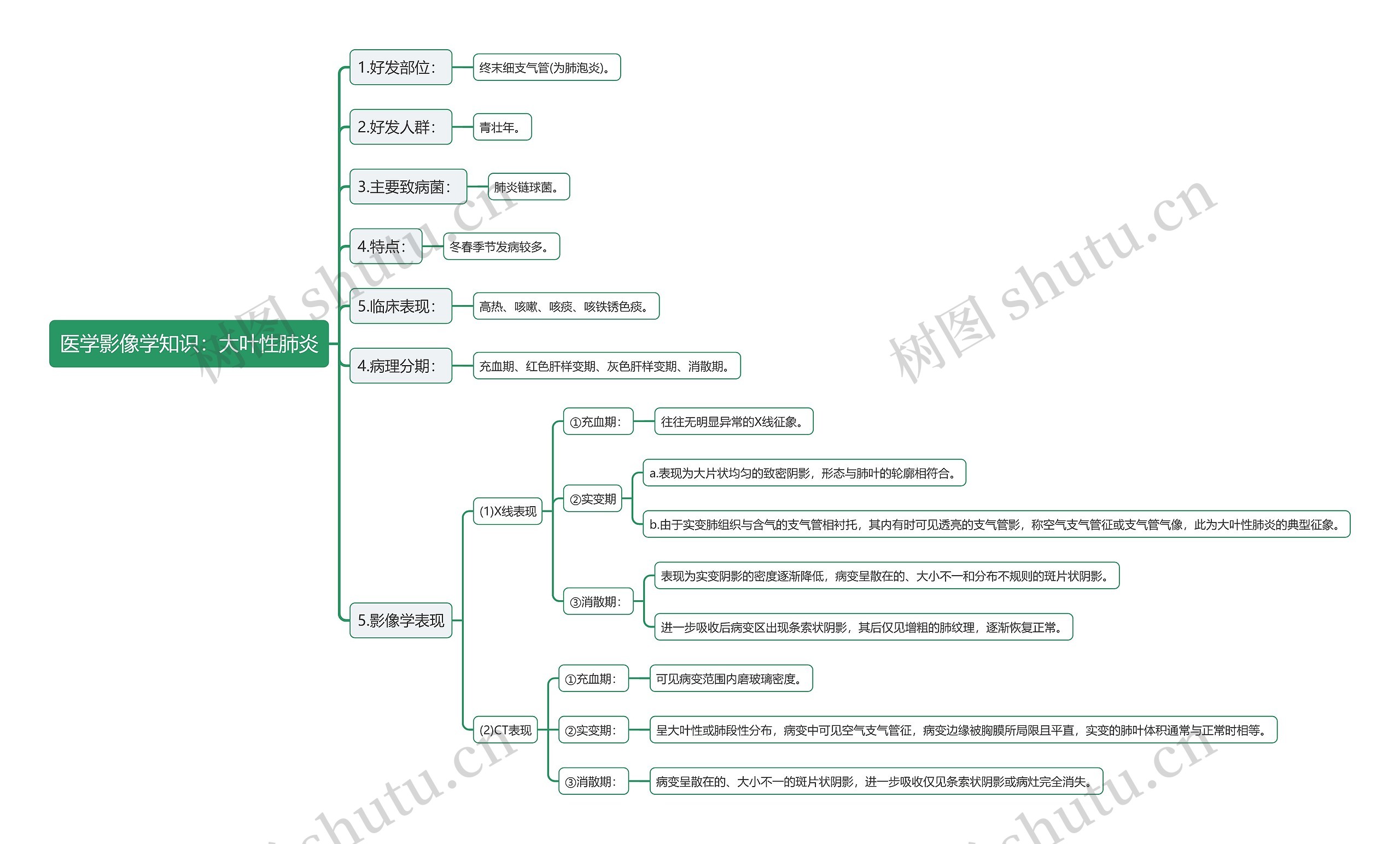 医学影像学知识:大叶性肺炎思维导图高清图 医学影像学知识:大叶性肺炎思维导图