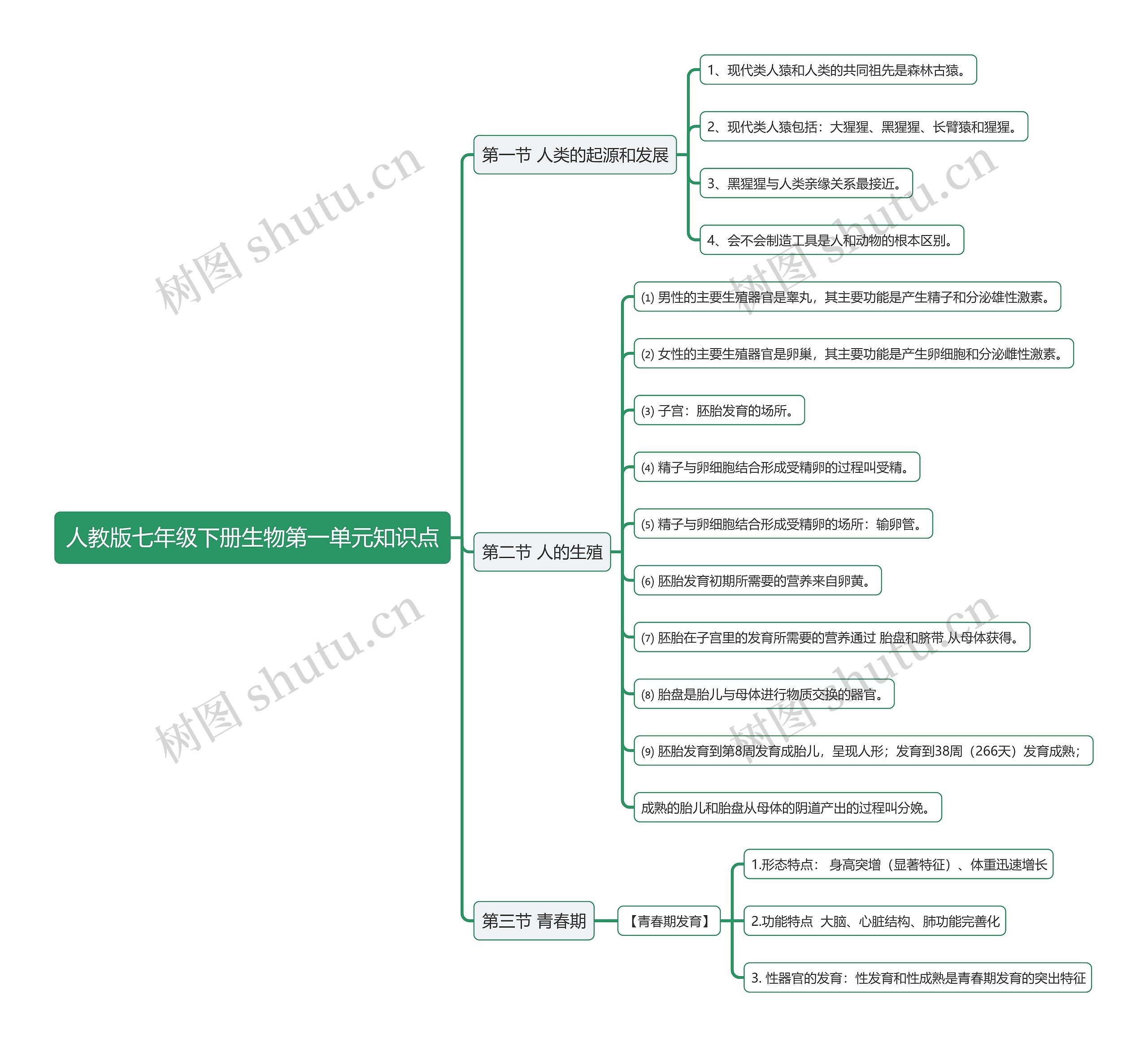 人教版七年级下册生物第一单元知识点思维导图