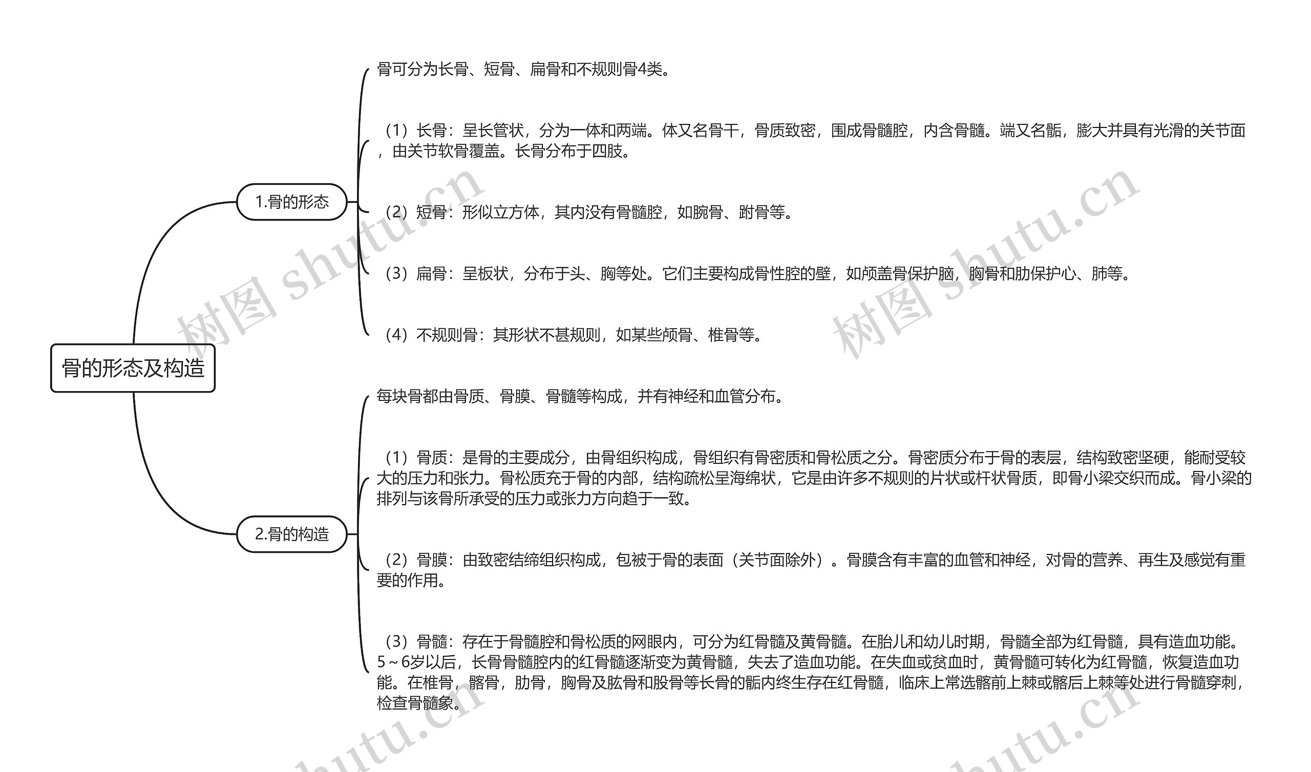 骨的形态及构造思维导图