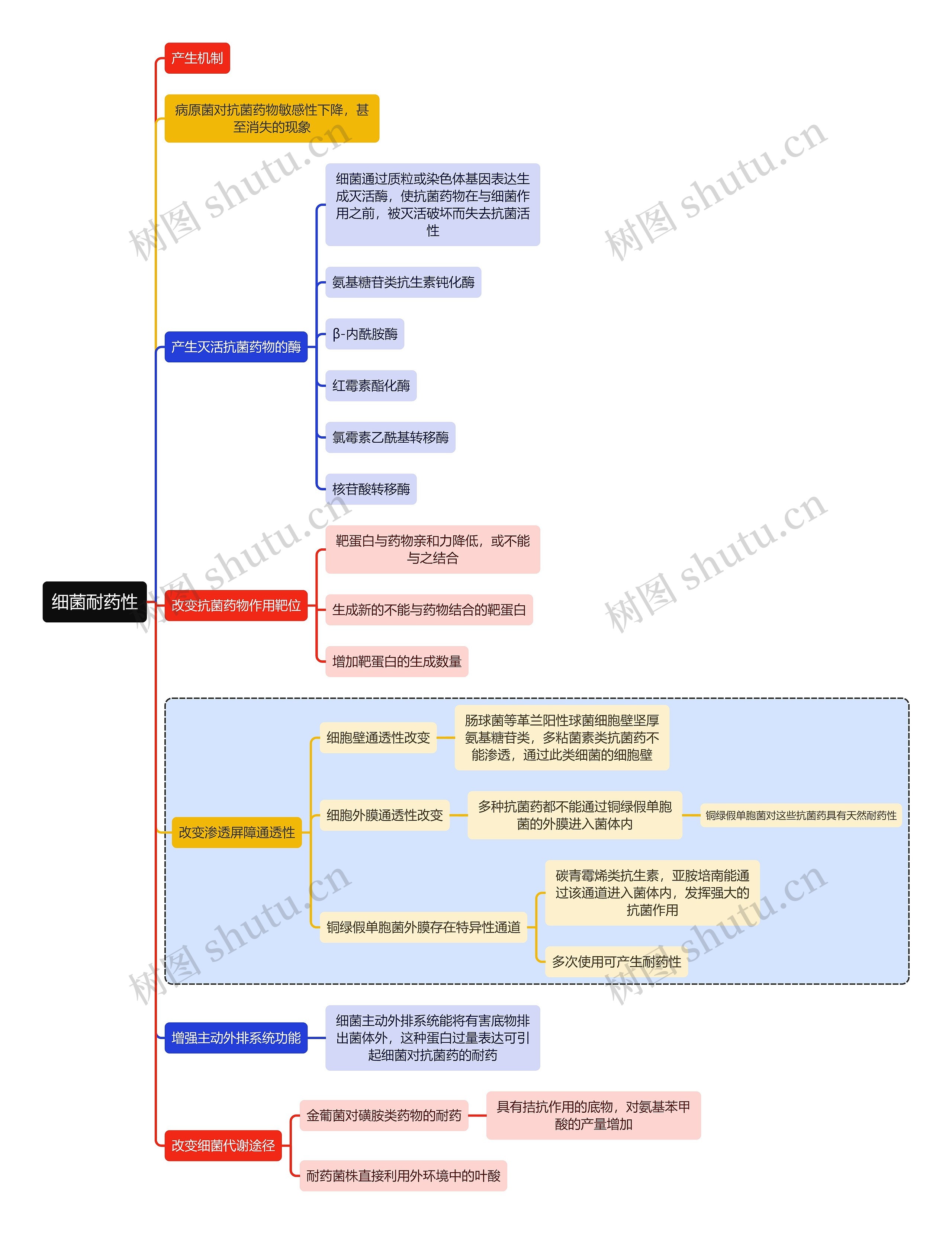 医学细菌耐药性思维导图