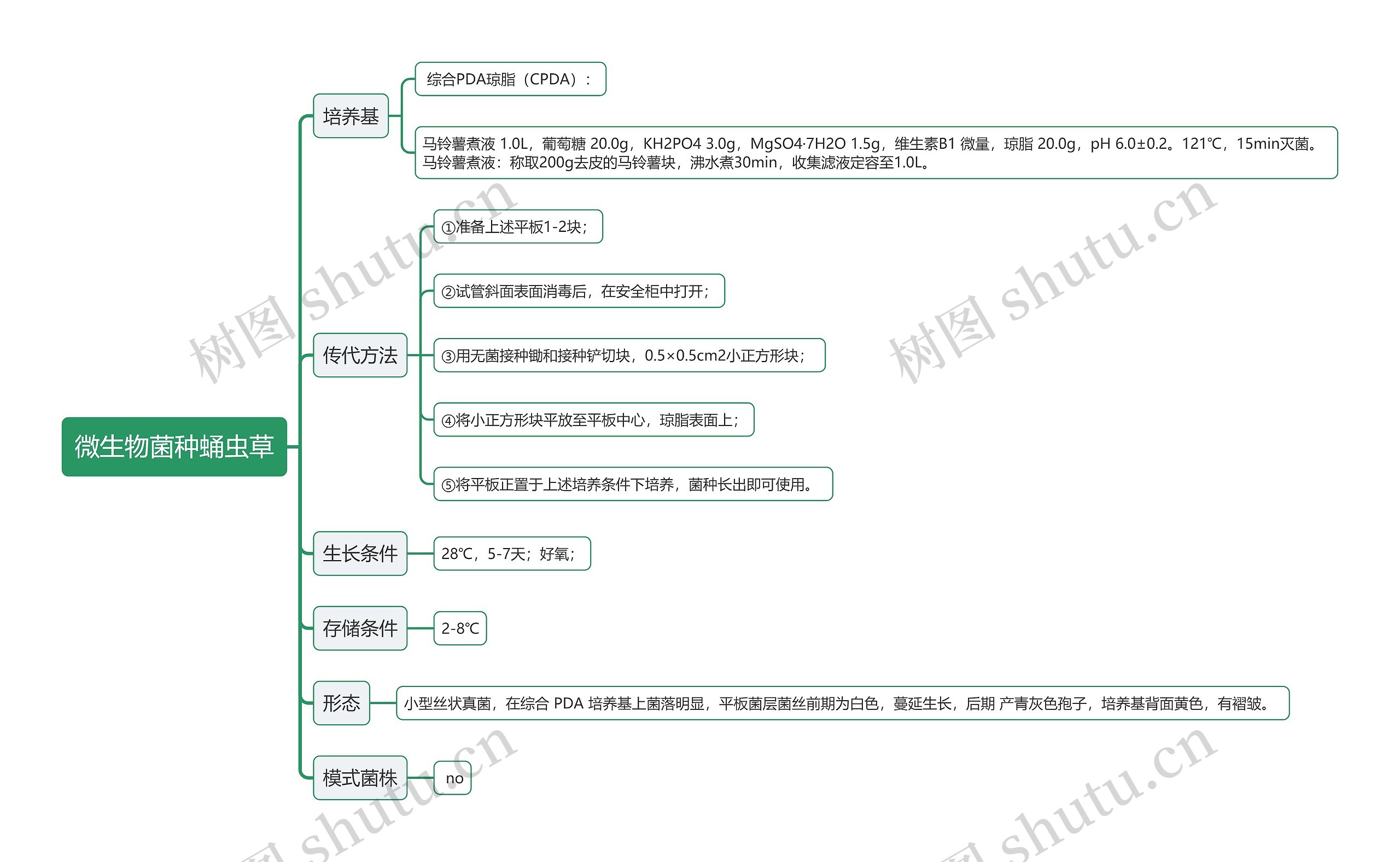 微生物菌种蛹虫草思维导图