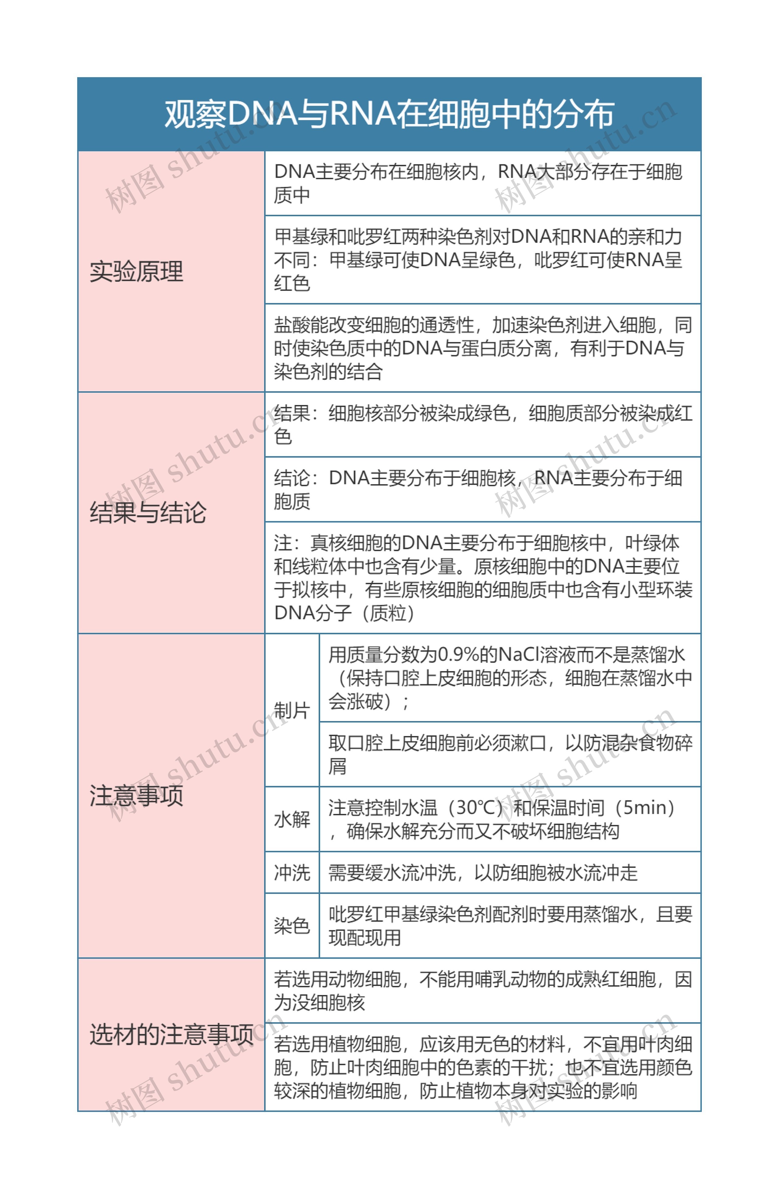 高中生物必修一观察DNA与RNA在细胞中的分布思维导图