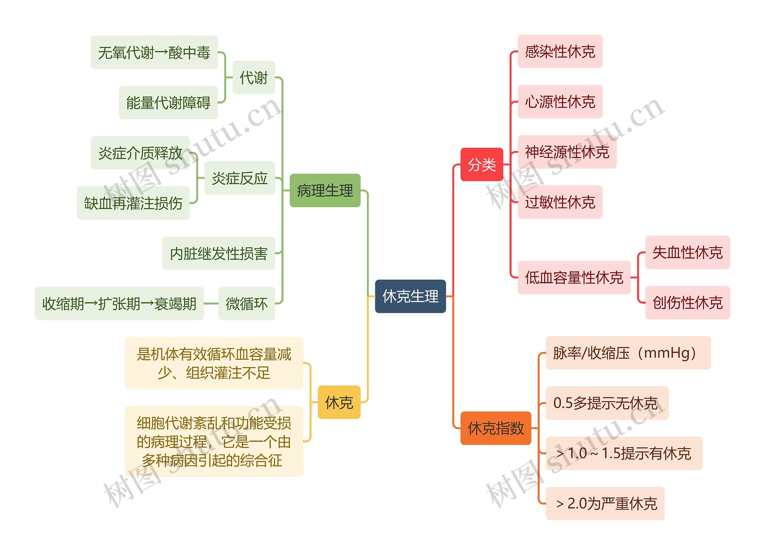 医学知识休克生理思维导图