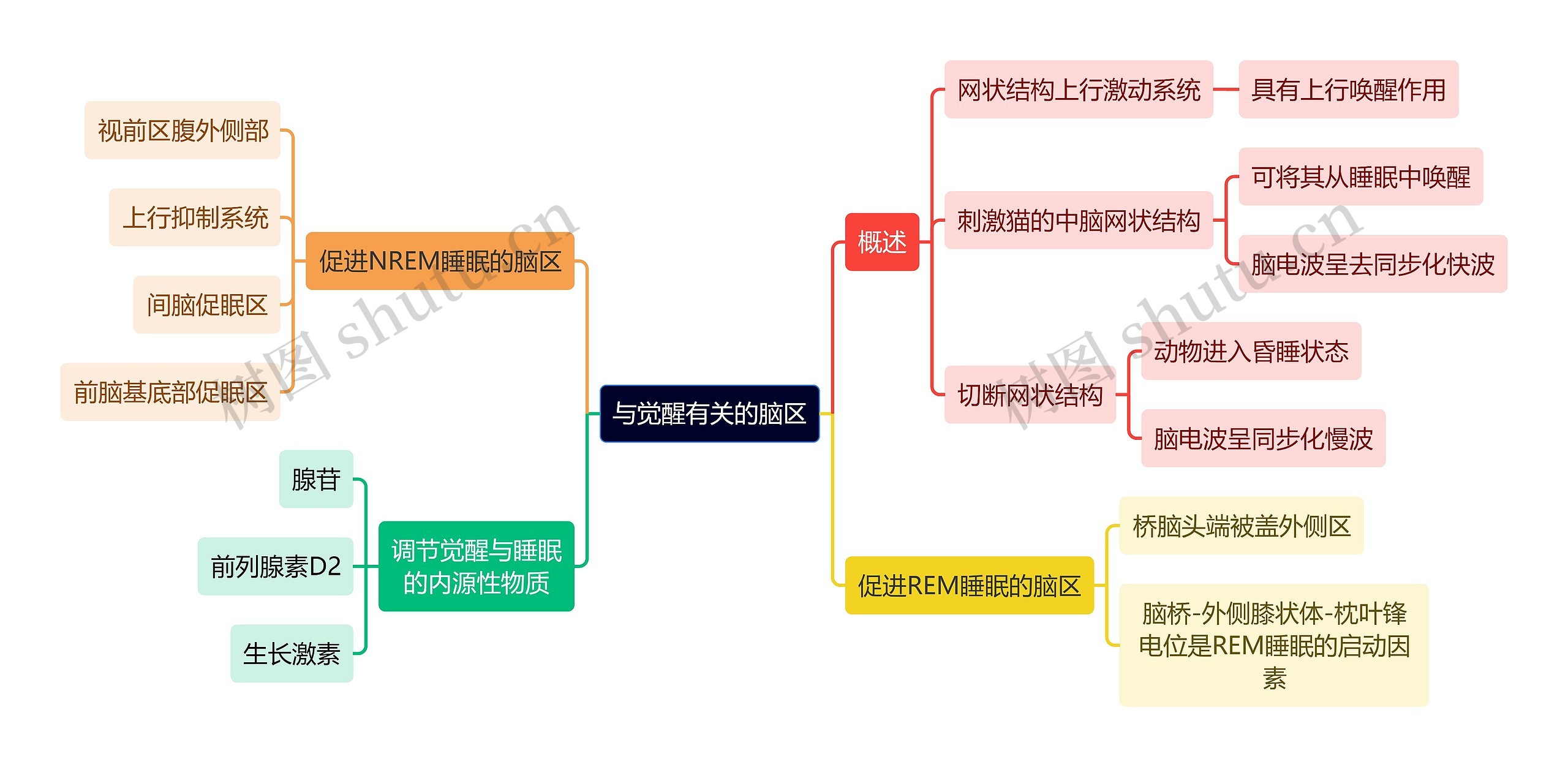 医学知识与觉醒有关的脑区思维导图