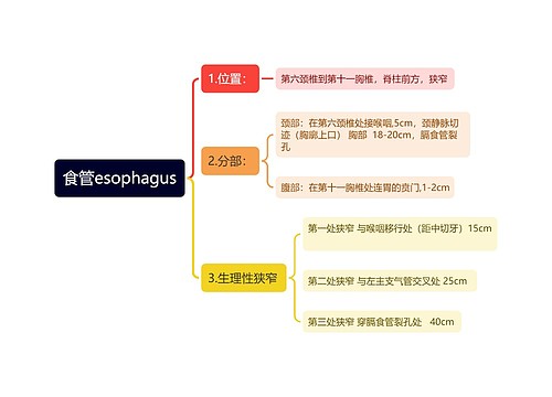 食管esophagus思维导图