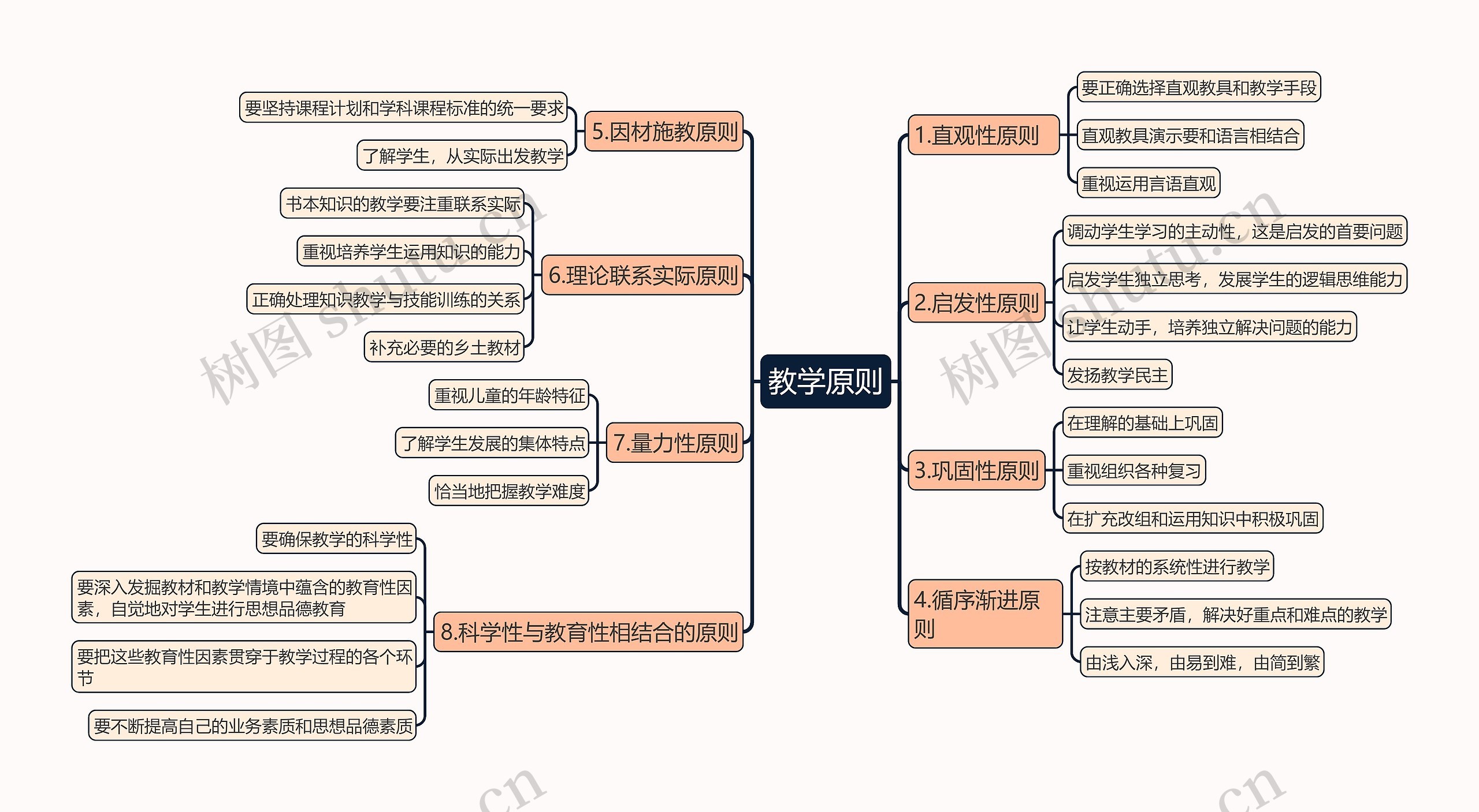 教育知识与能力《教学原则》思维导图