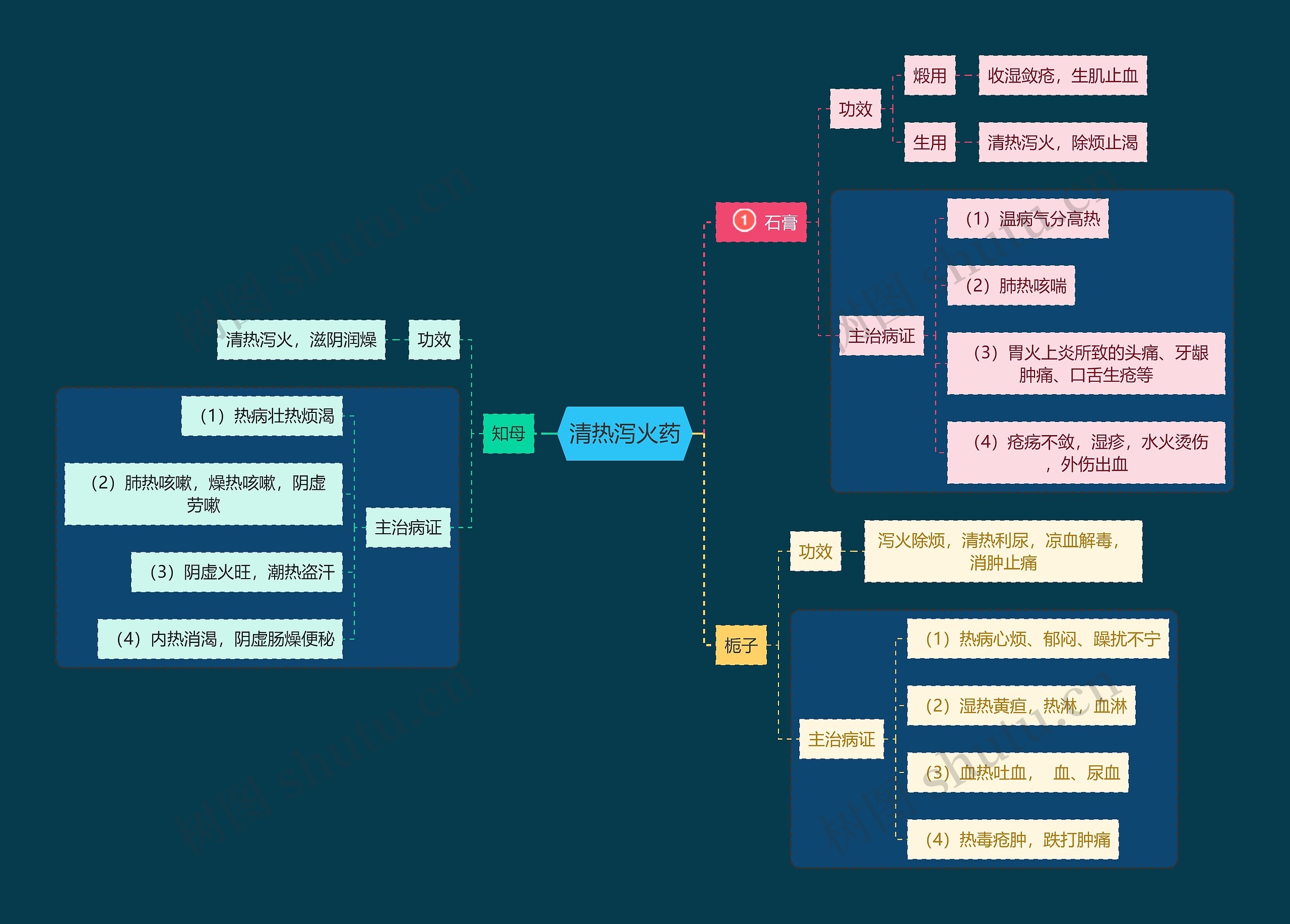 医学知识清热泻火药思维导图
