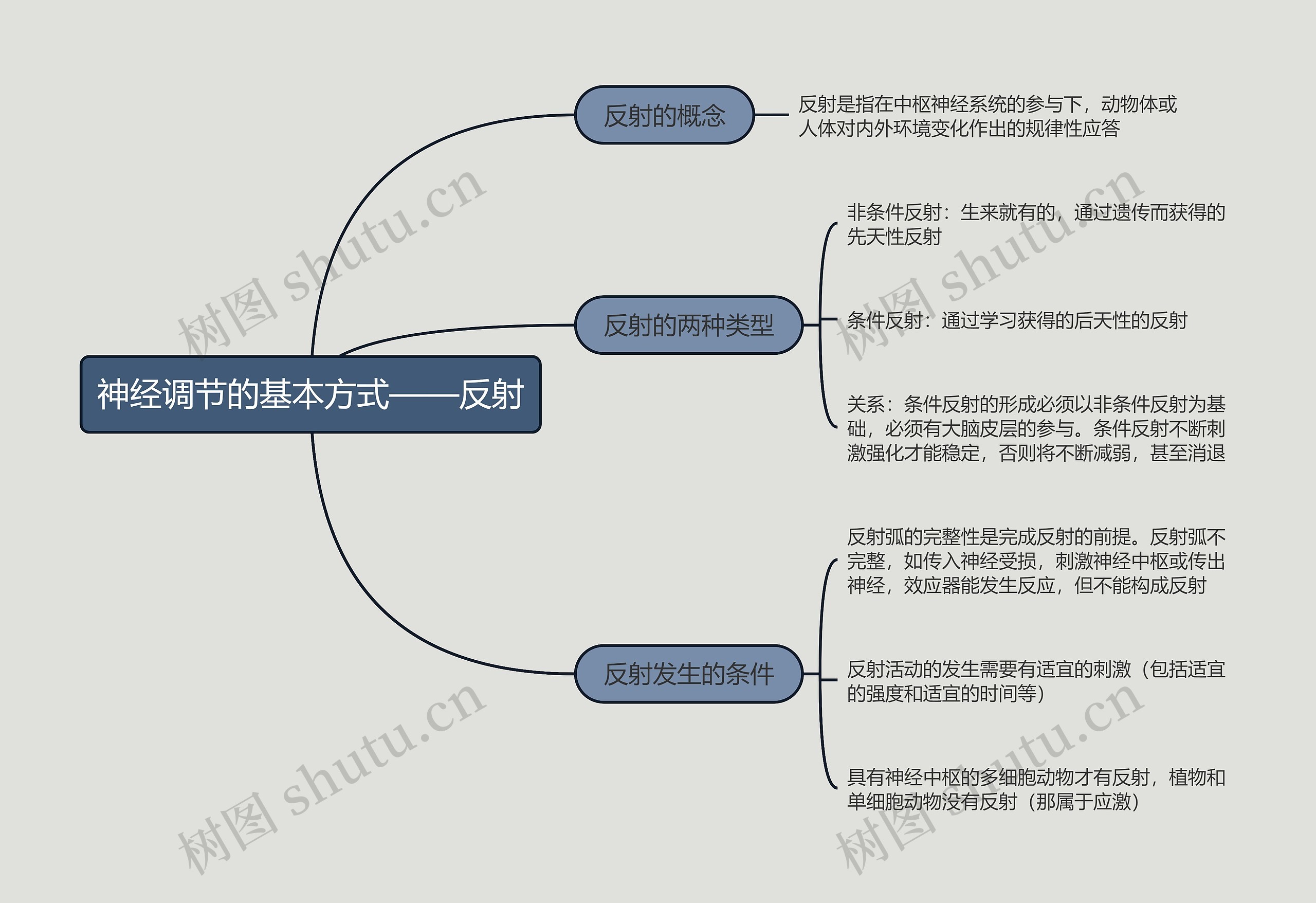 高中生物必修三神经调节的基本方式——反射思维导图