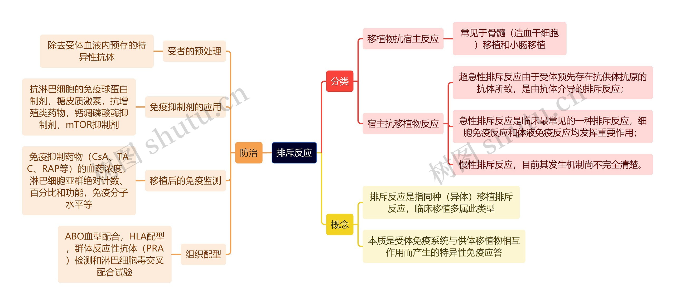 医学知识排斥反应思维导图