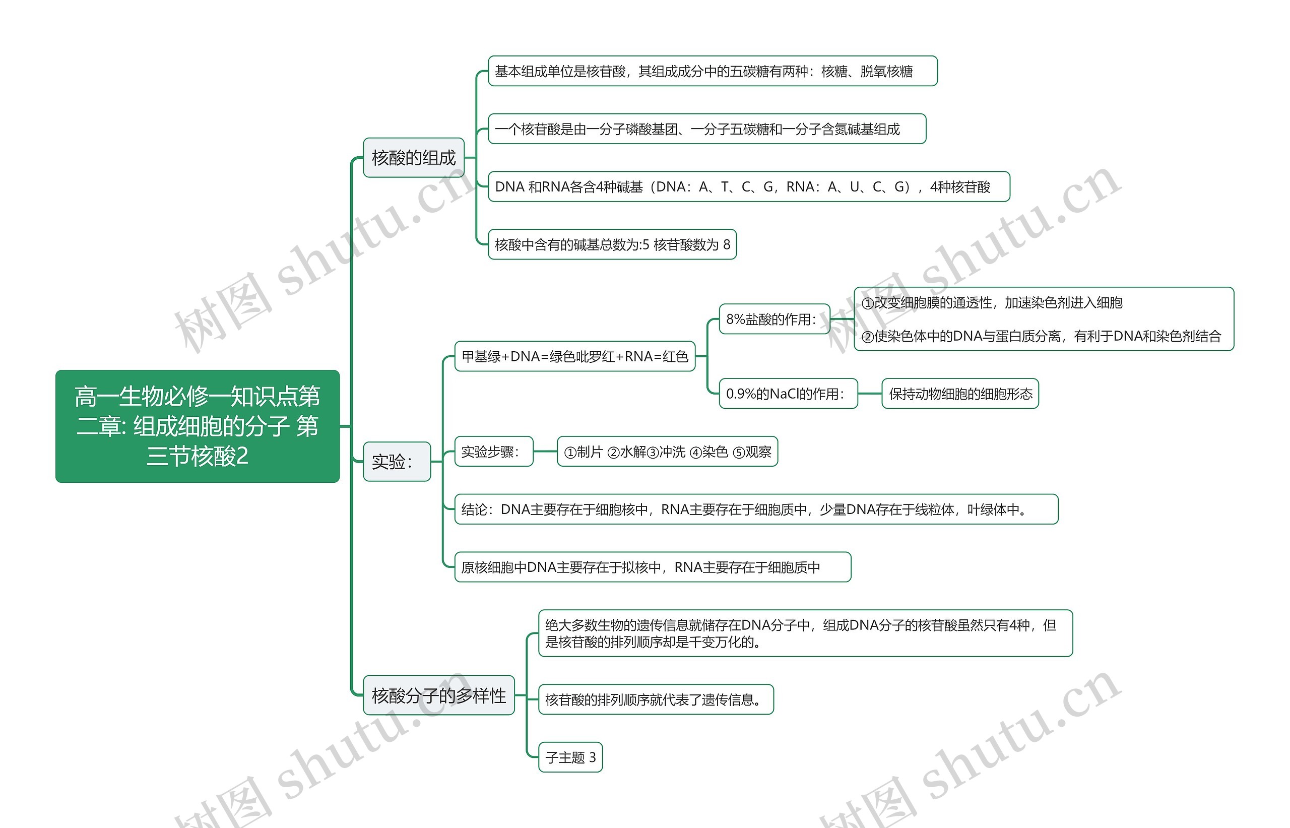 高一生物必修一知识点第二章: 组成细胞的分子 第三节核酸2思维导图