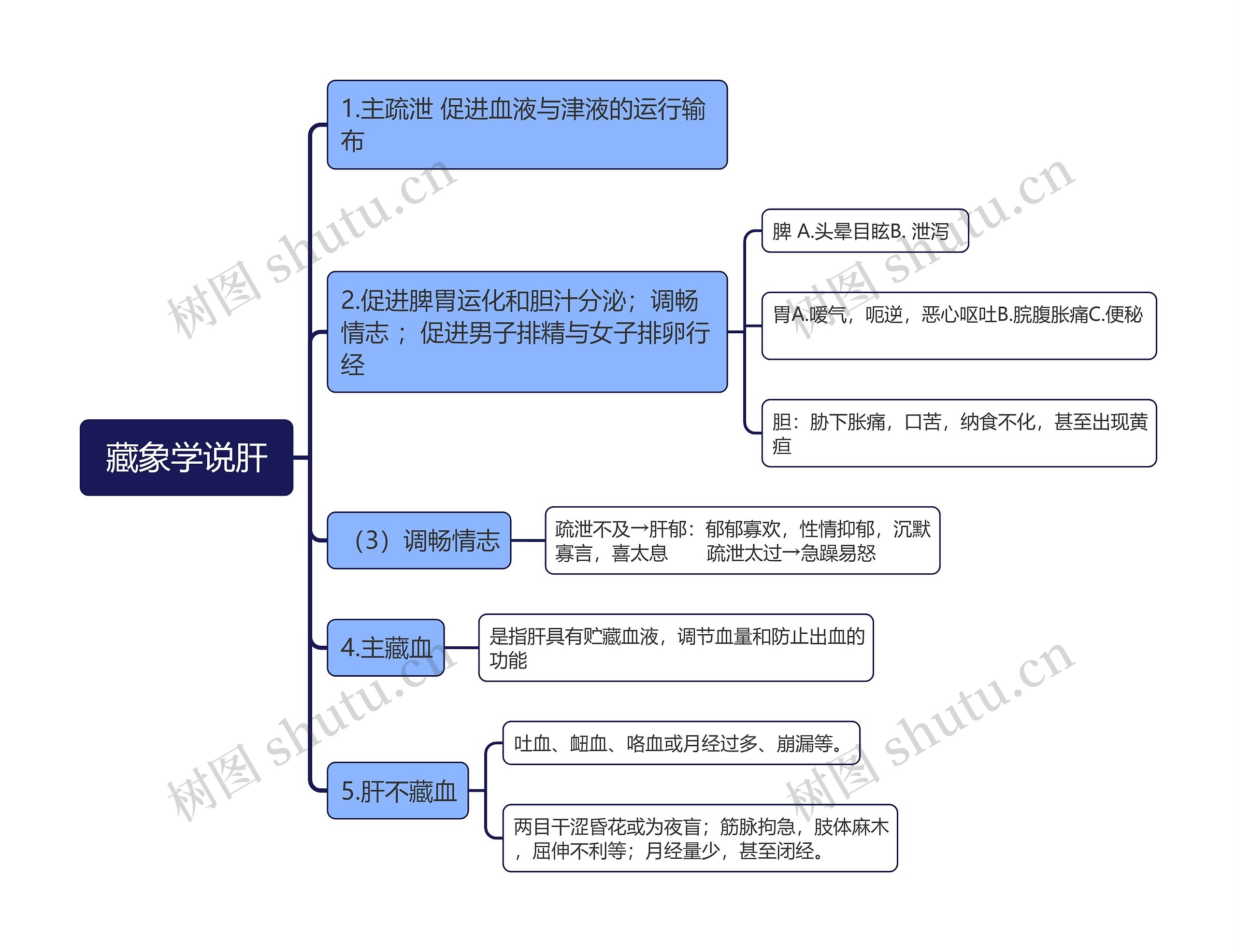  藏象学说肝思维导图