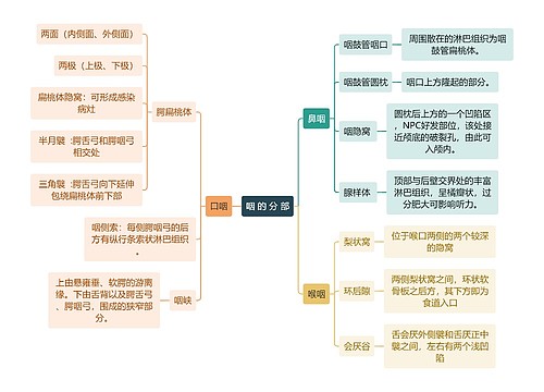 医学知识咽的分部思维导图