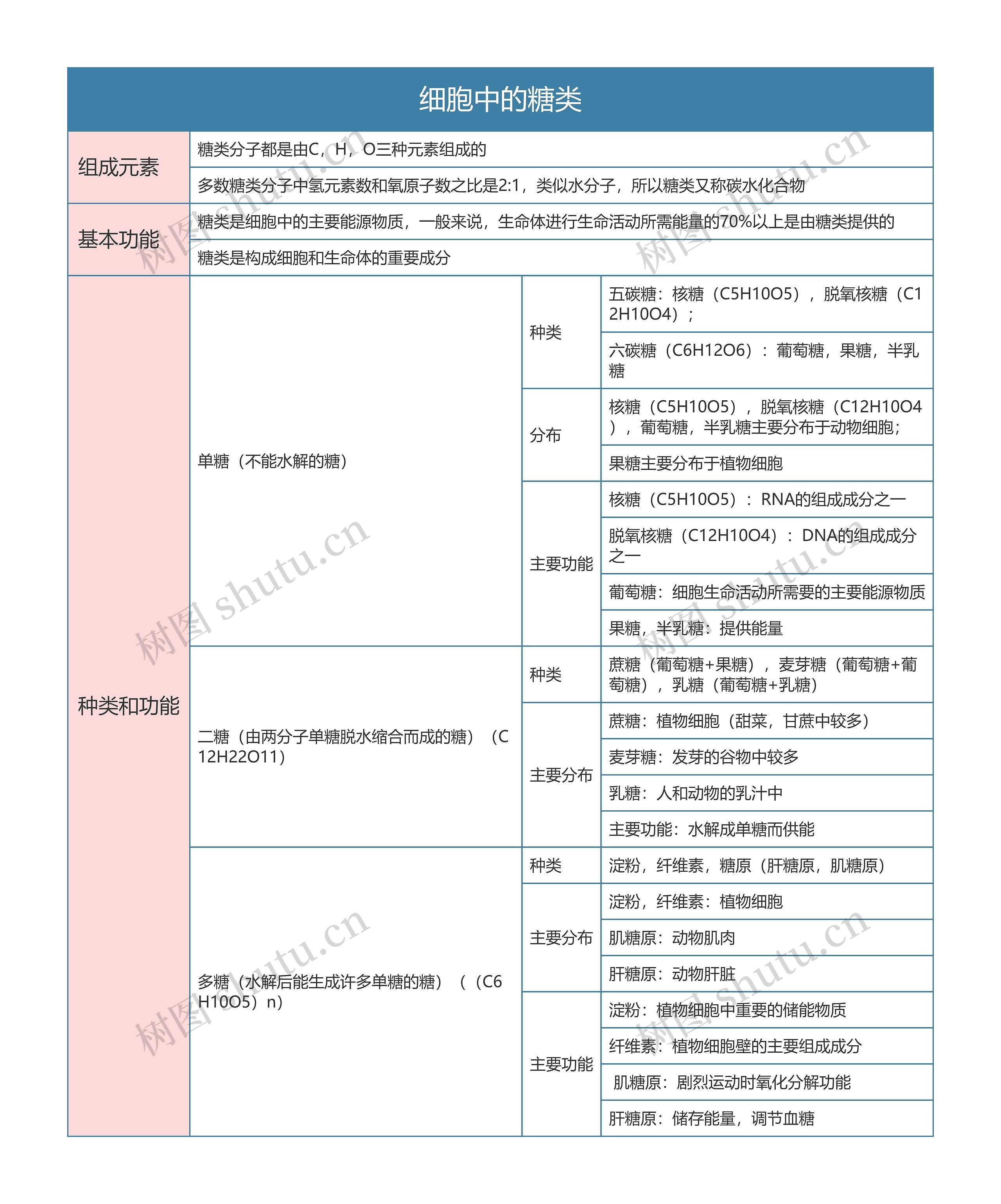 高中生物必修一细胞中的糖类思维导图