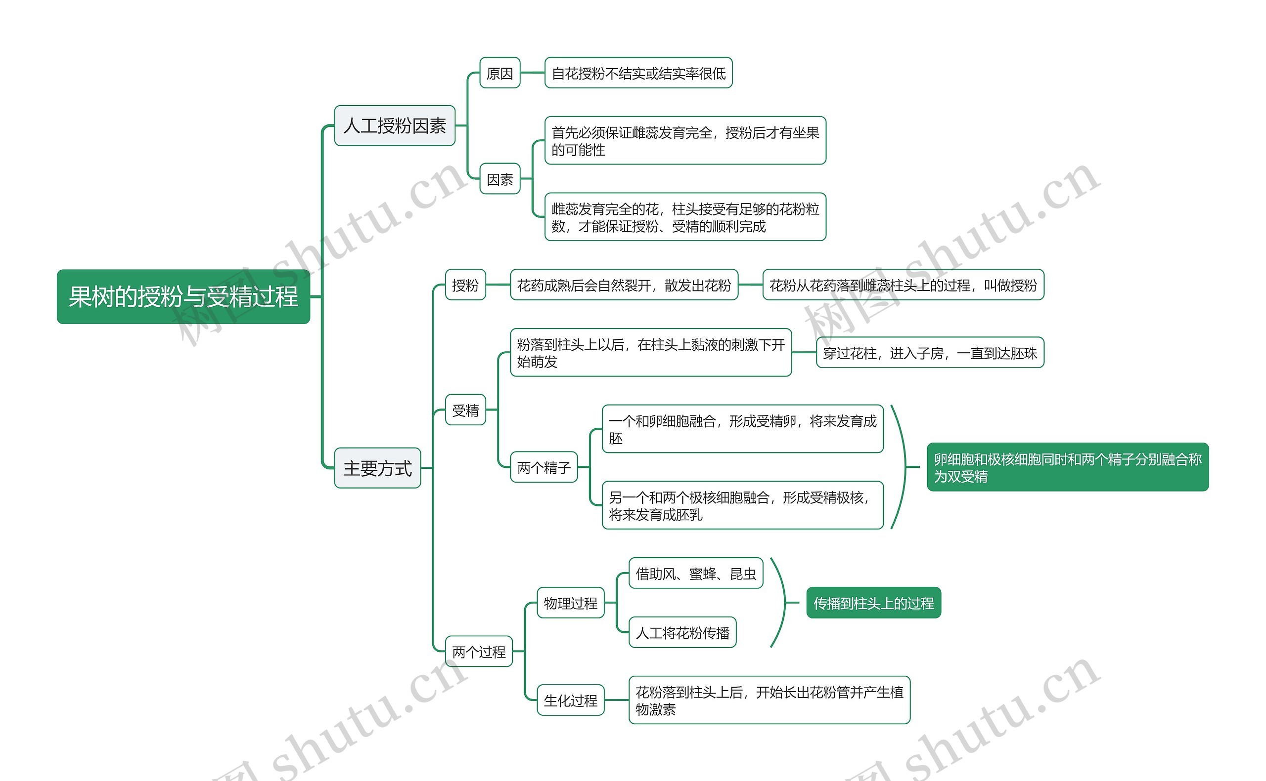 果树的授粉与受精过程思维导图