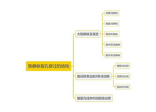 医学隐静脉裂孔穿过的结构思维导图