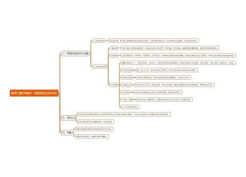 医学口腔学知识：牙胚的发生和分化思维导图