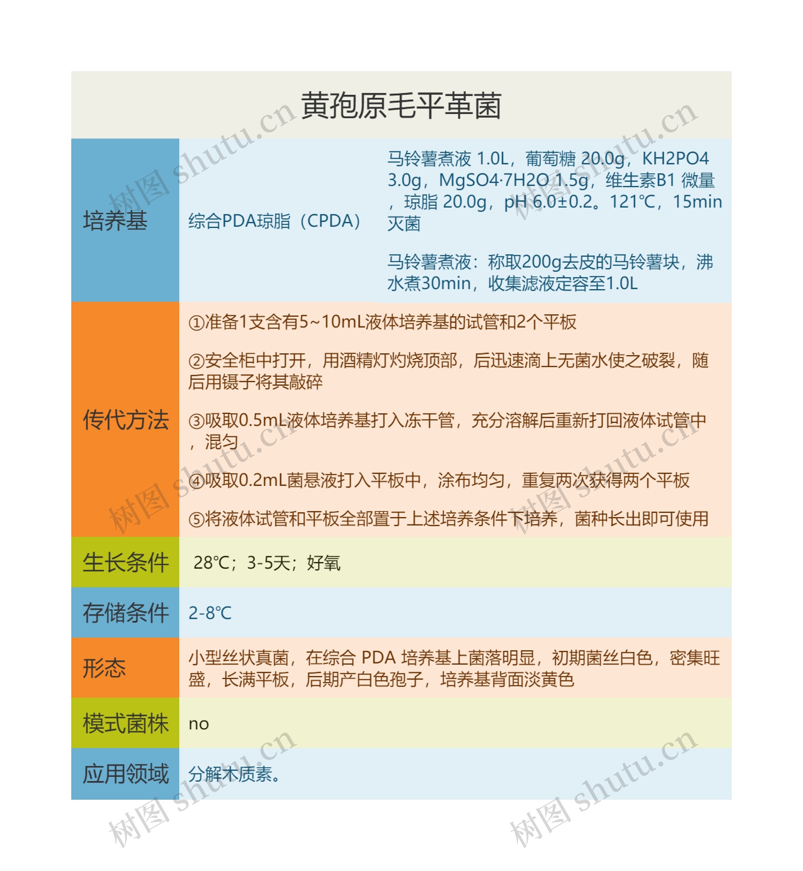 黄孢原毛平革菌思维导图