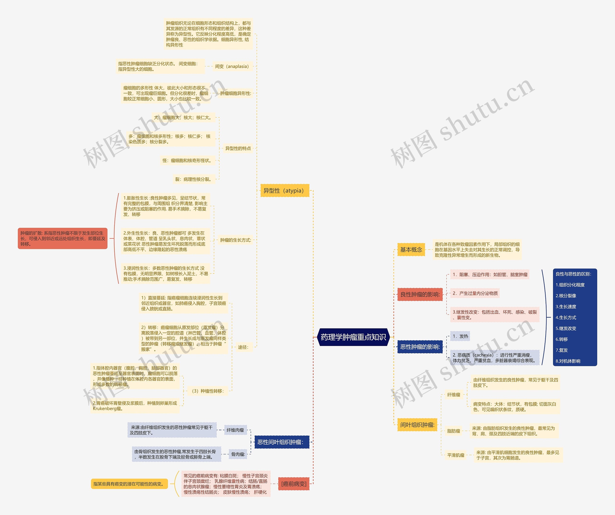药理学肿瘤重点知识思维导图